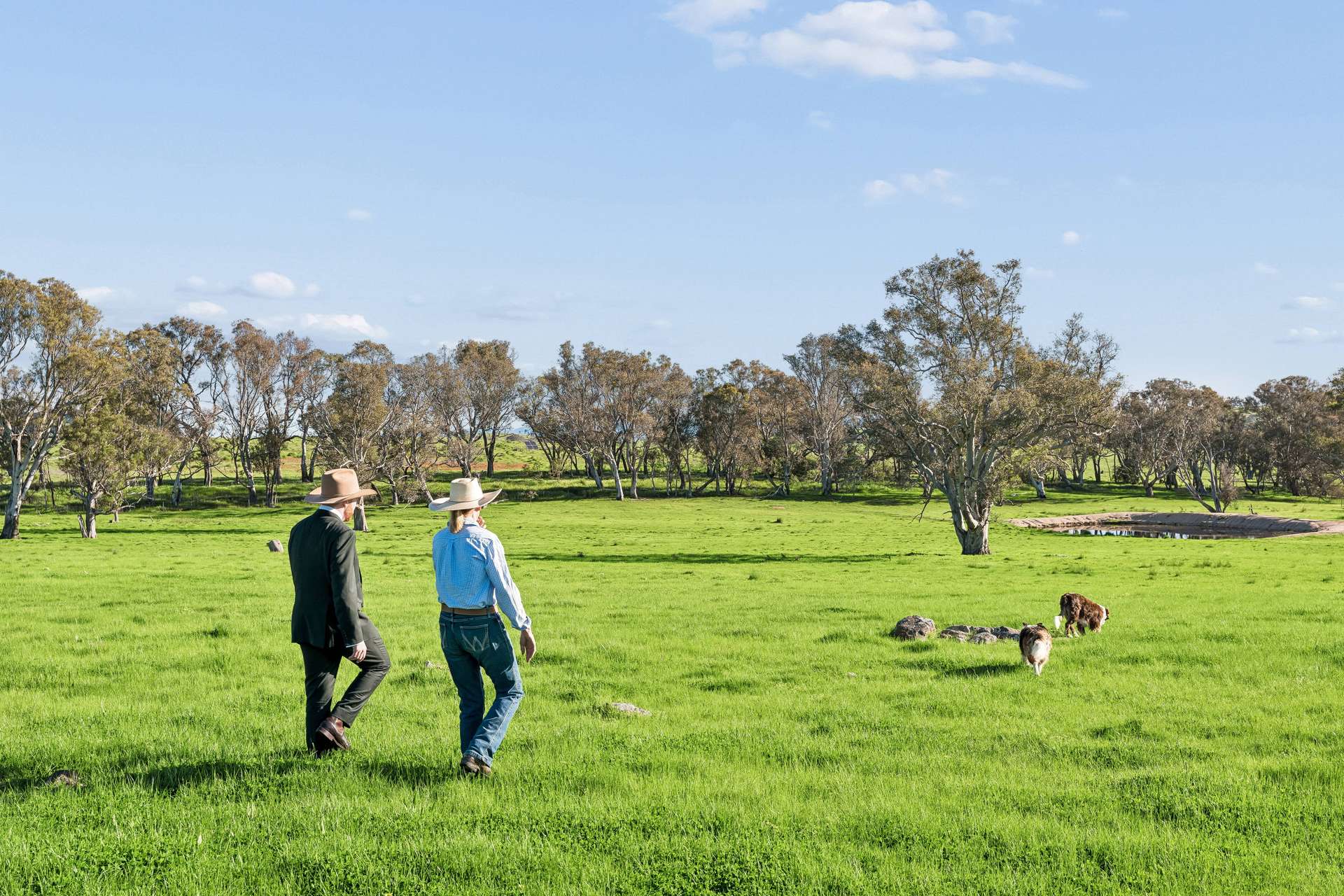 "Yellowbox", 606 Longrail Gully Road, Murrumbateman Auction by Farmbuy.com - image 14