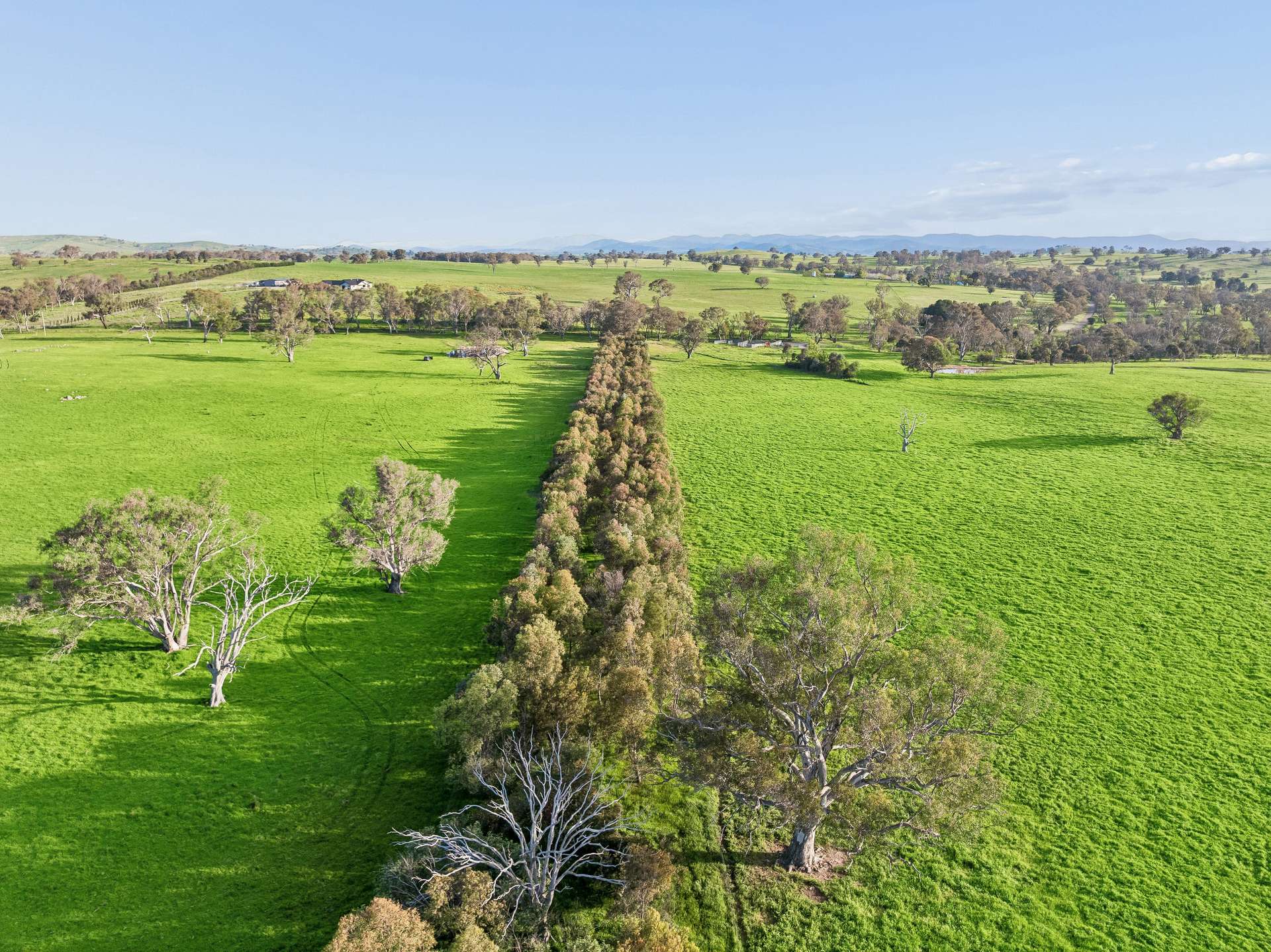 "Yellowbox", 606 Longrail Gully Road, Murrumbateman Auction by Farmbuy.com - image 7