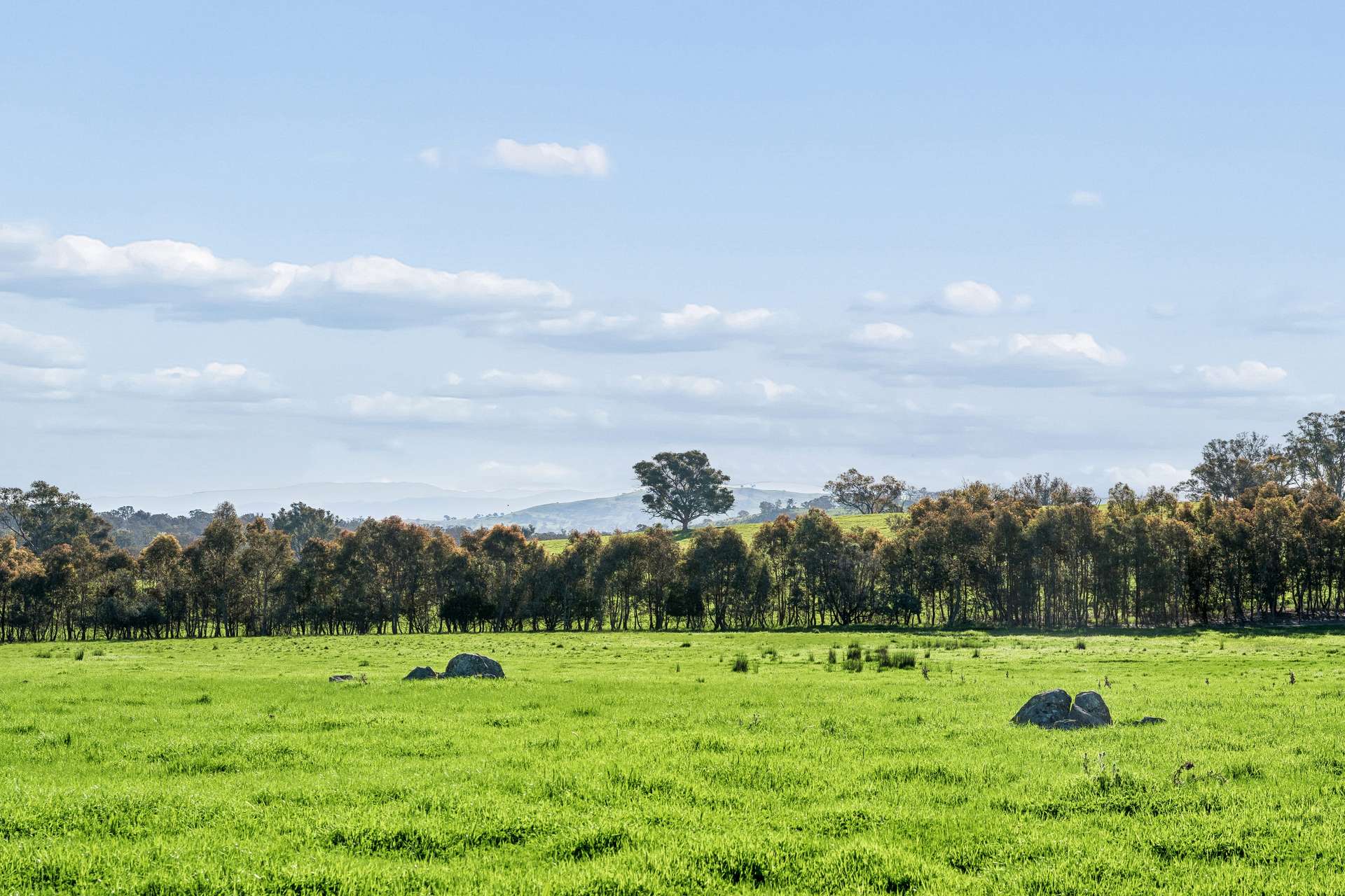 "Yellowbox", 606 Longrail Gully Road, Murrumbateman Auction by Farmbuy.com - image 17