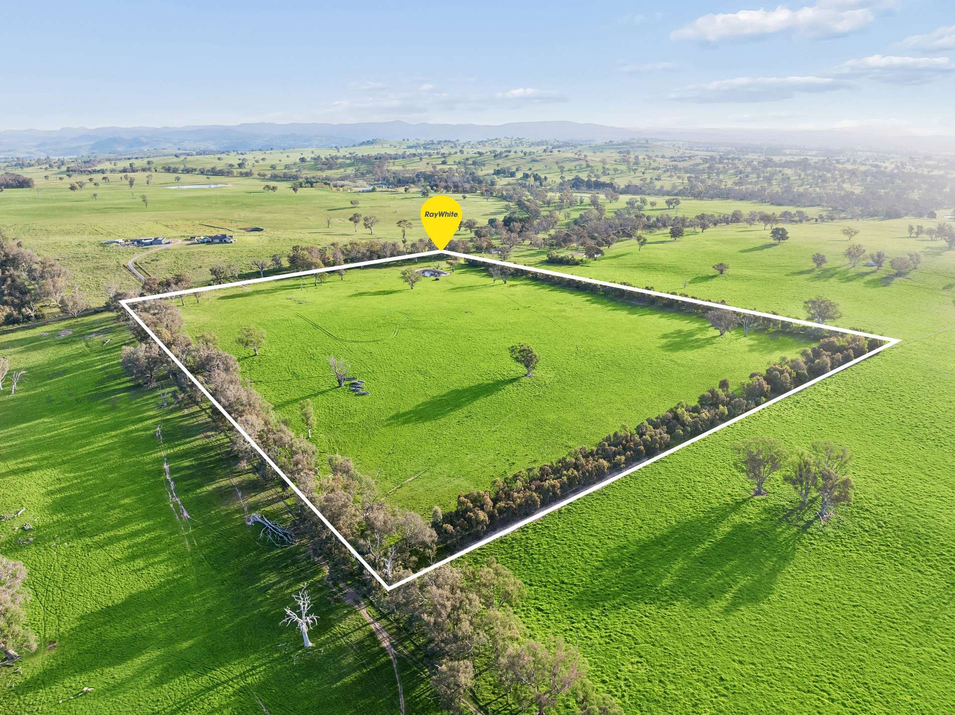 "Yellowbox", 606 Longrail Gully Road, Murrumbateman Auction by Farmbuy.com - image 1