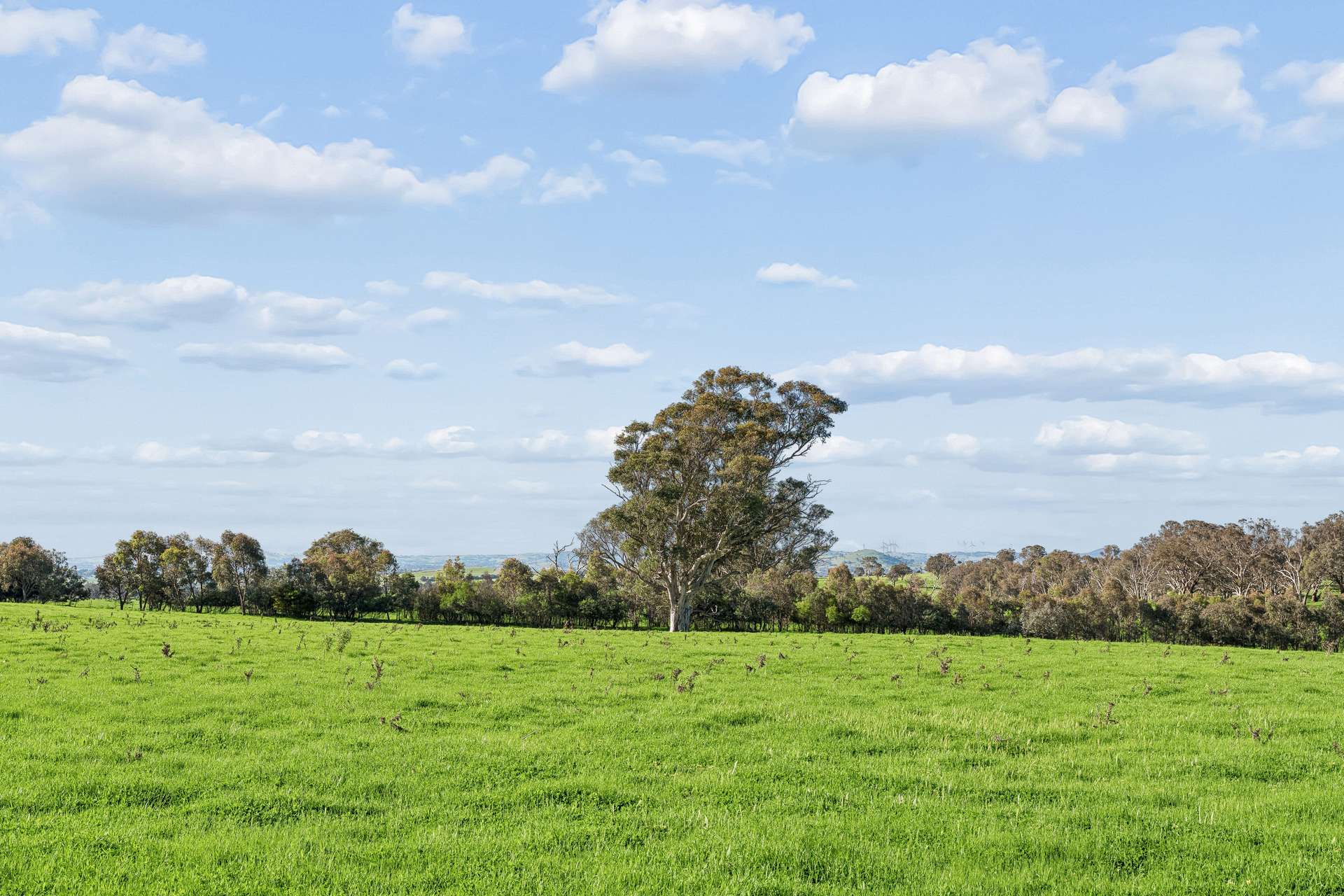 "Yellowbox", 606 Longrail Gully Road, Murrumbateman Auction by Farmbuy.com - image 16