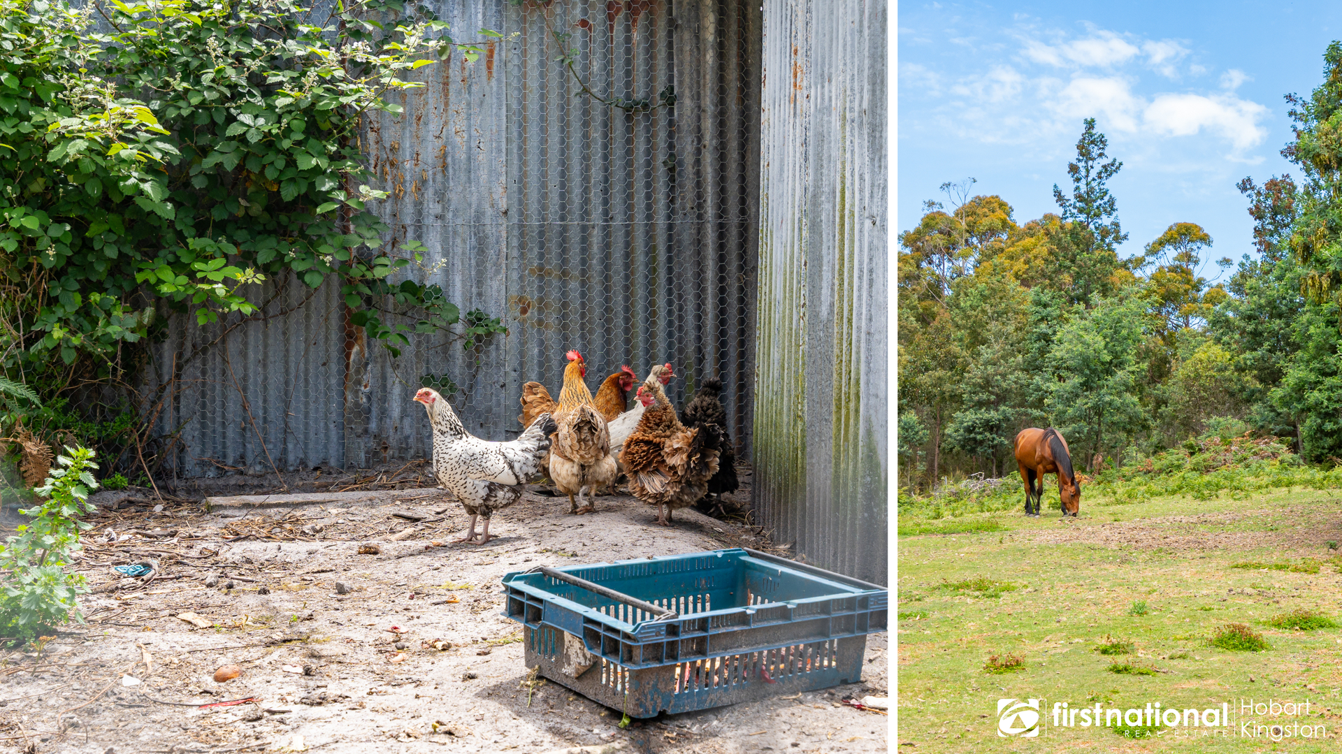 3349 Bruny Island Main Road, South Bruny For Sale by Farmbuy.com - image 24
