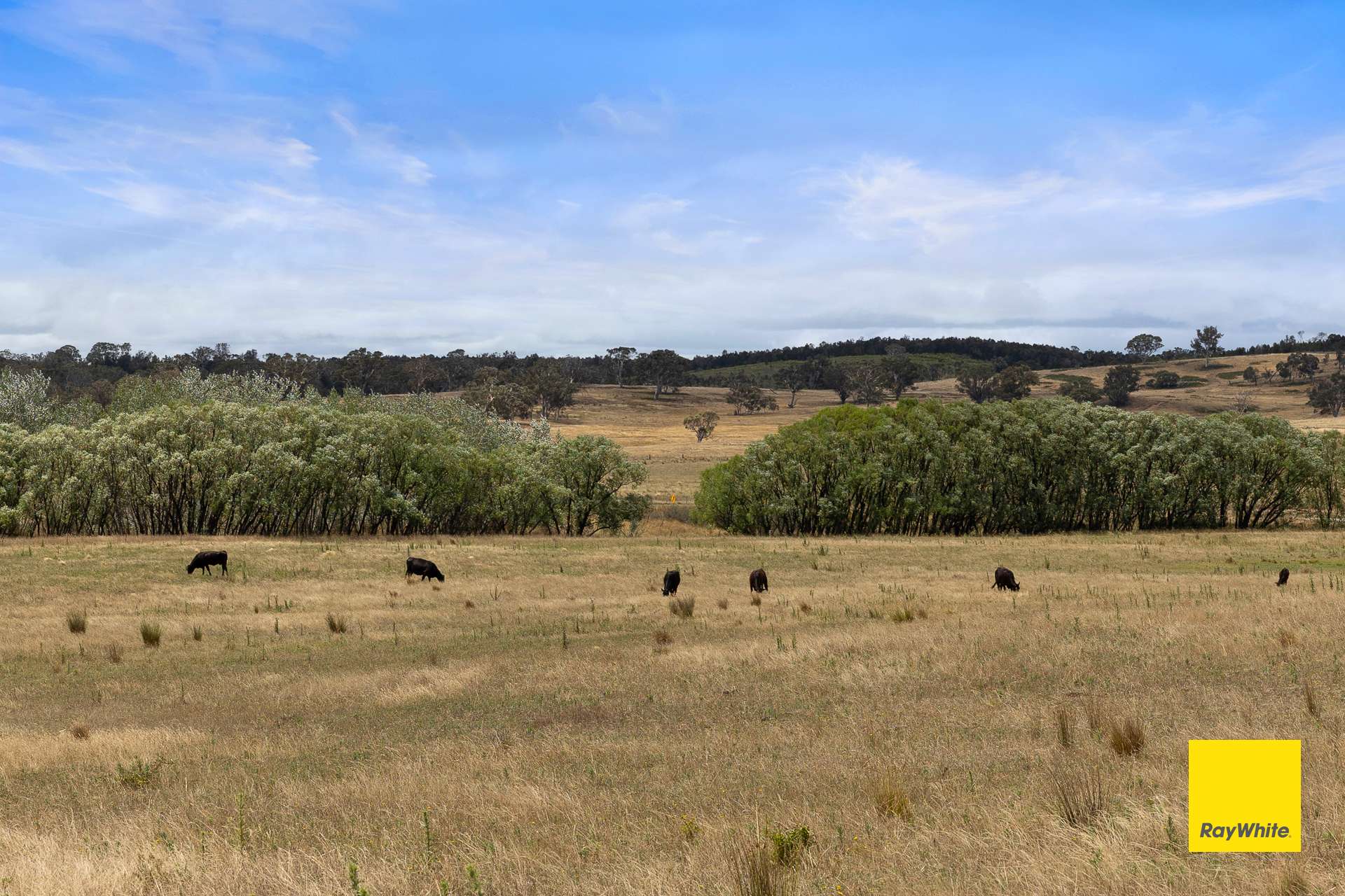 1154 Goulburn Road, Boro For Sale by Farmbuy.com - image 33