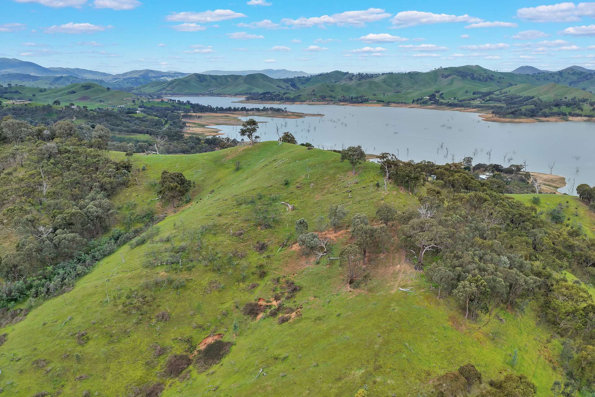 Lot 2 2995 Maintongoon Road, Bonnie Doon For Sale by Farmbuy.com - image 13