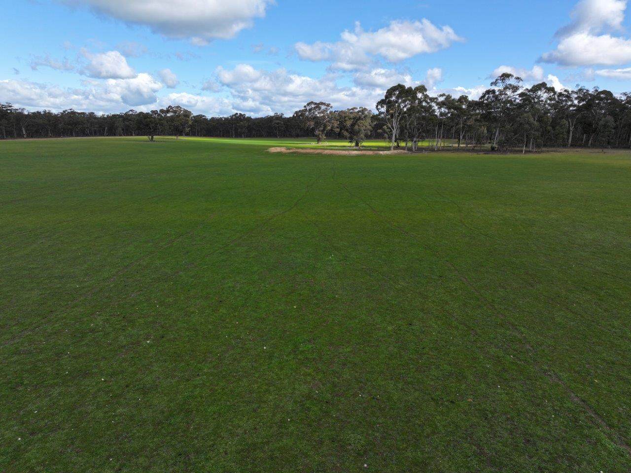 83 Tarnagulla-Eddington Road, Waanyarra For Sale by Farmbuy.com - image 5