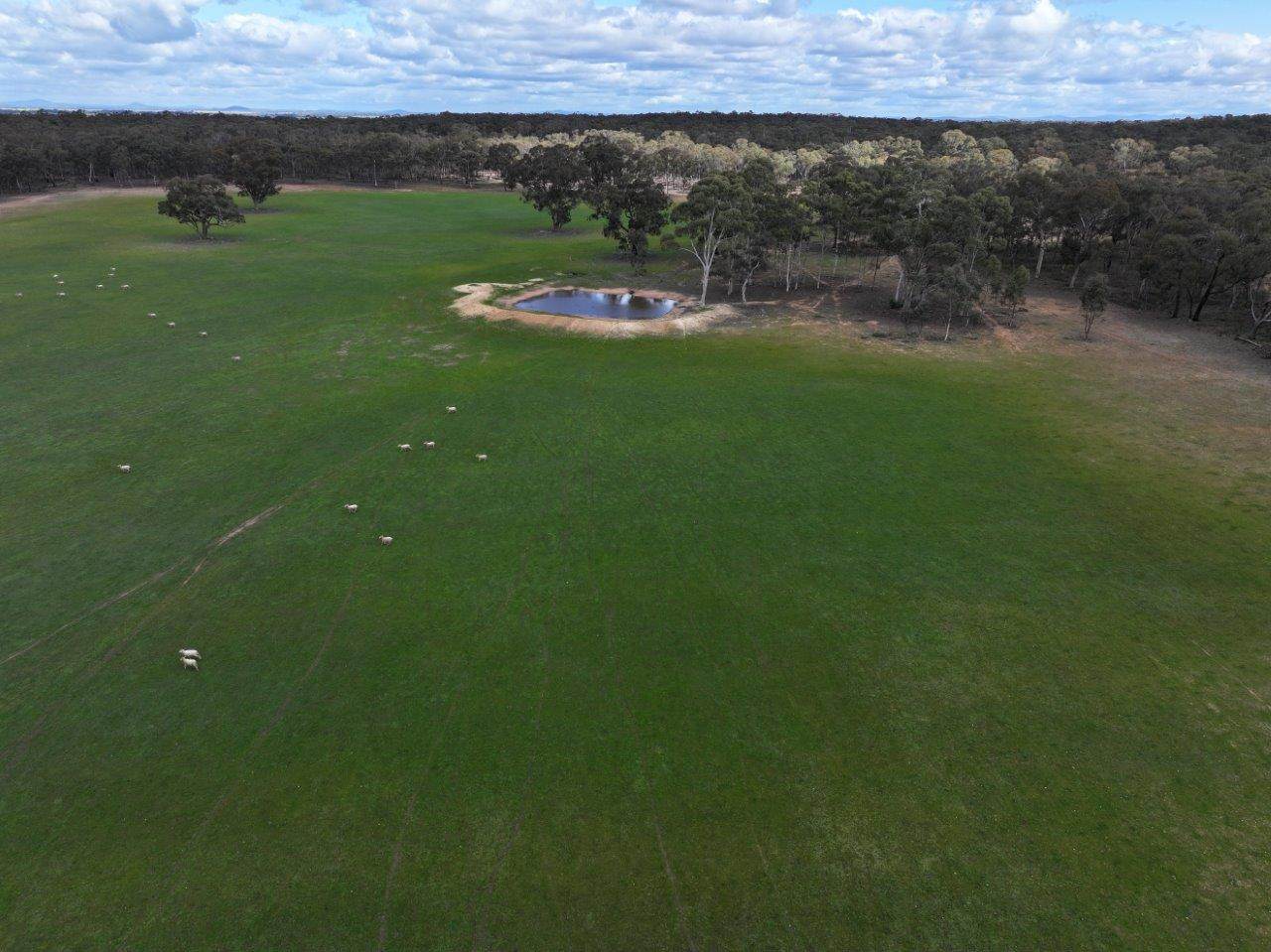 83 Tarnagulla-Eddington Road, Waanyarra For Sale by Farmbuy.com - image 2
