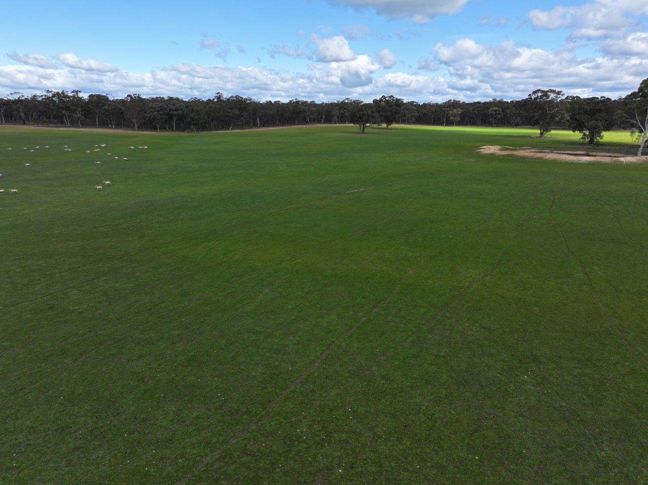 83 Tarnagulla-Eddington Road, Waanyarra For Sale by Farmbuy.com - image 7