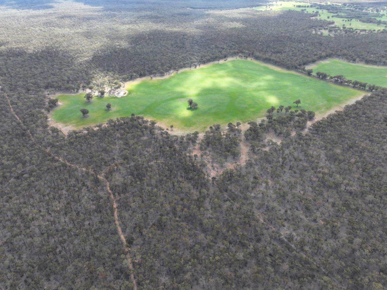 83 Tarnagulla-Eddington Road, Waanyarra For Sale by Farmbuy.com - image 11