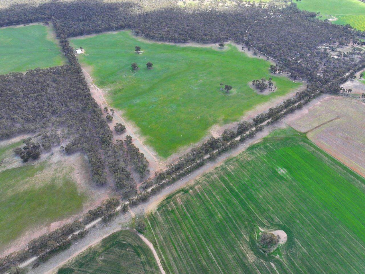 83 Tarnagulla-Eddington Road, Waanyarra For Sale by Farmbuy.com - image 8
