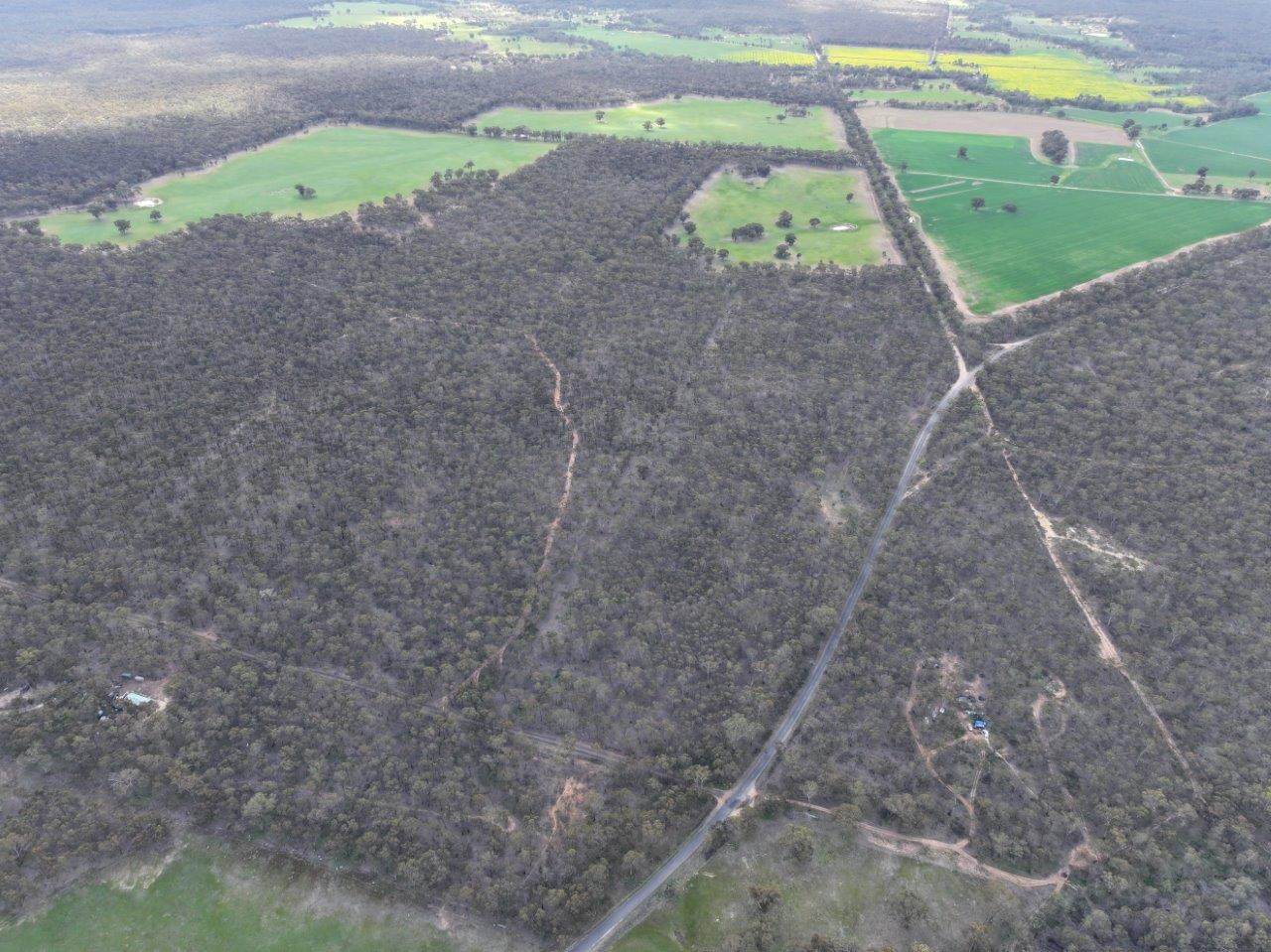 83 Tarnagulla-Eddington Road, Waanyarra For Sale by Farmbuy.com - image 10