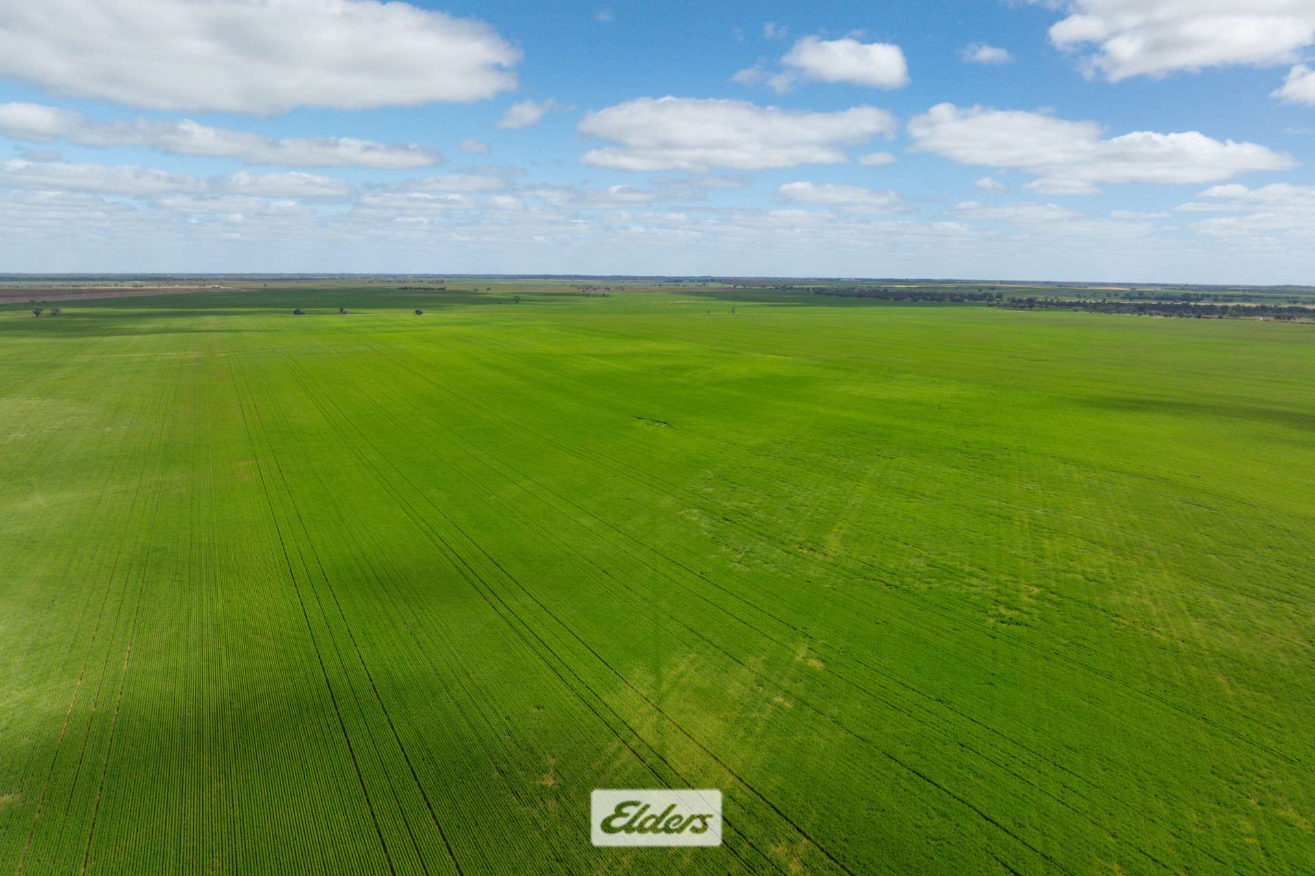 1319 Yanga Way, Kyalite For Sale by Farmbuy.com - image 17