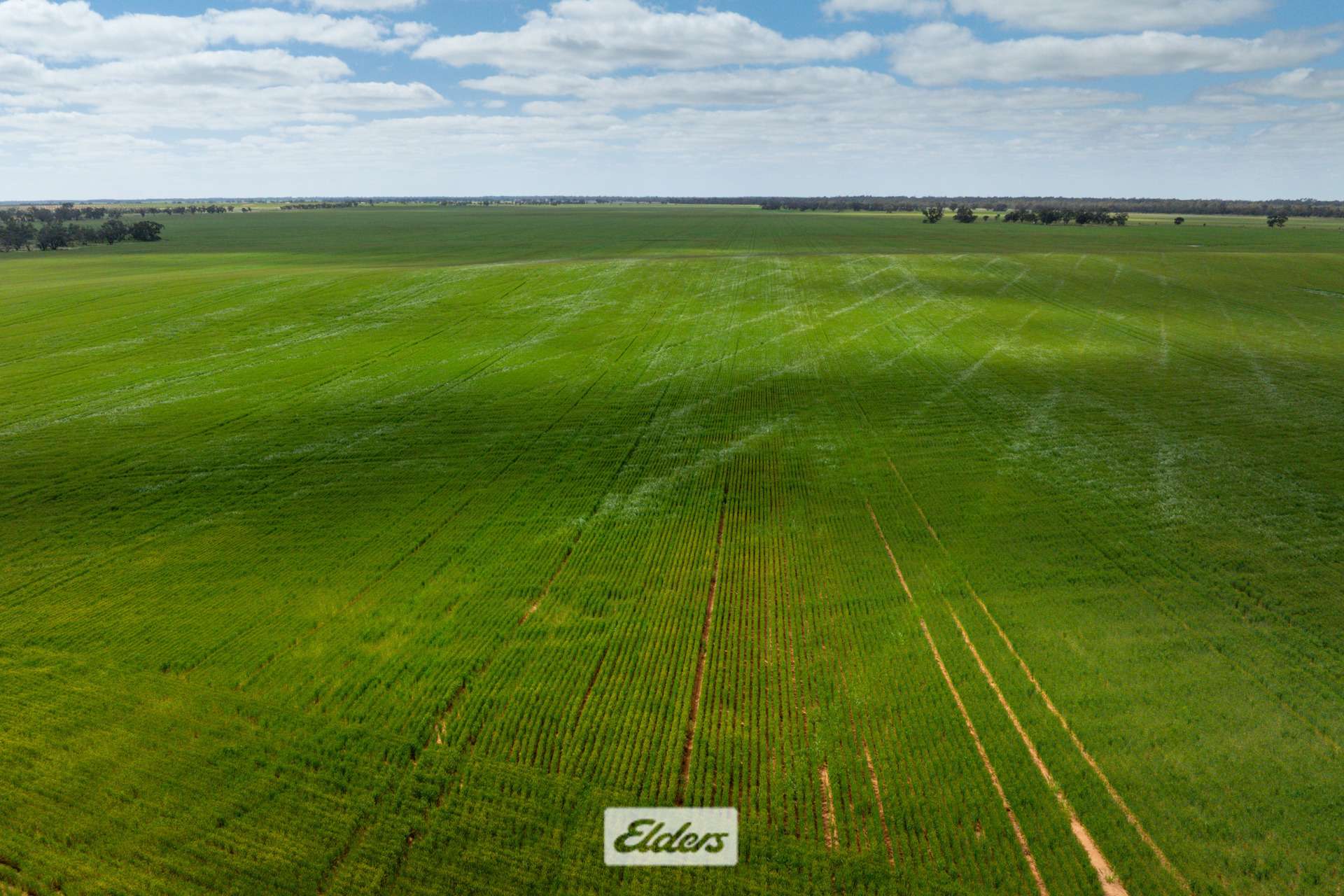 1319 Yanga Way, Kyalite For Sale by Farmbuy.com - image 3