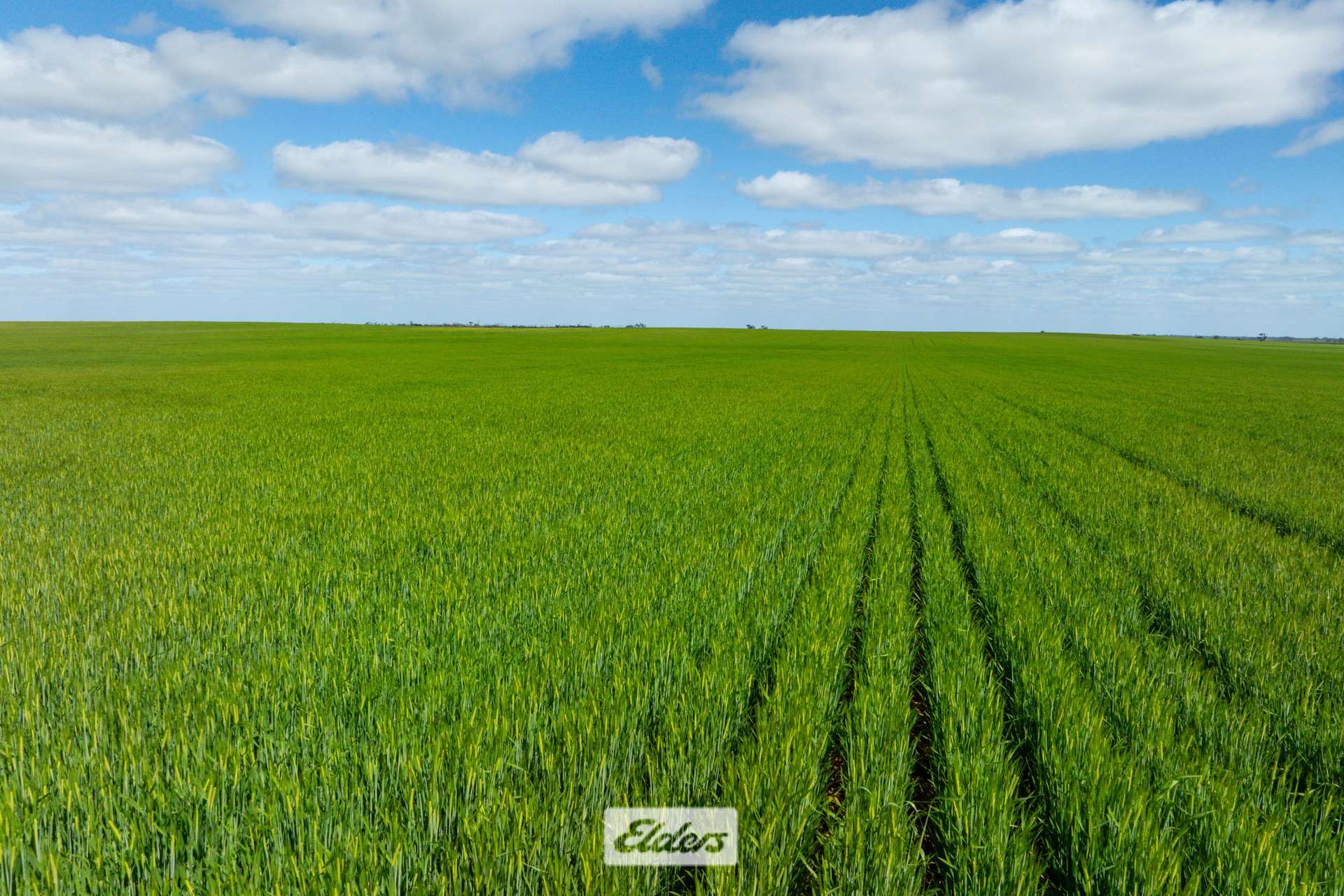 1319 Yanga Way, Kyalite For Sale by Farmbuy.com - image 22
