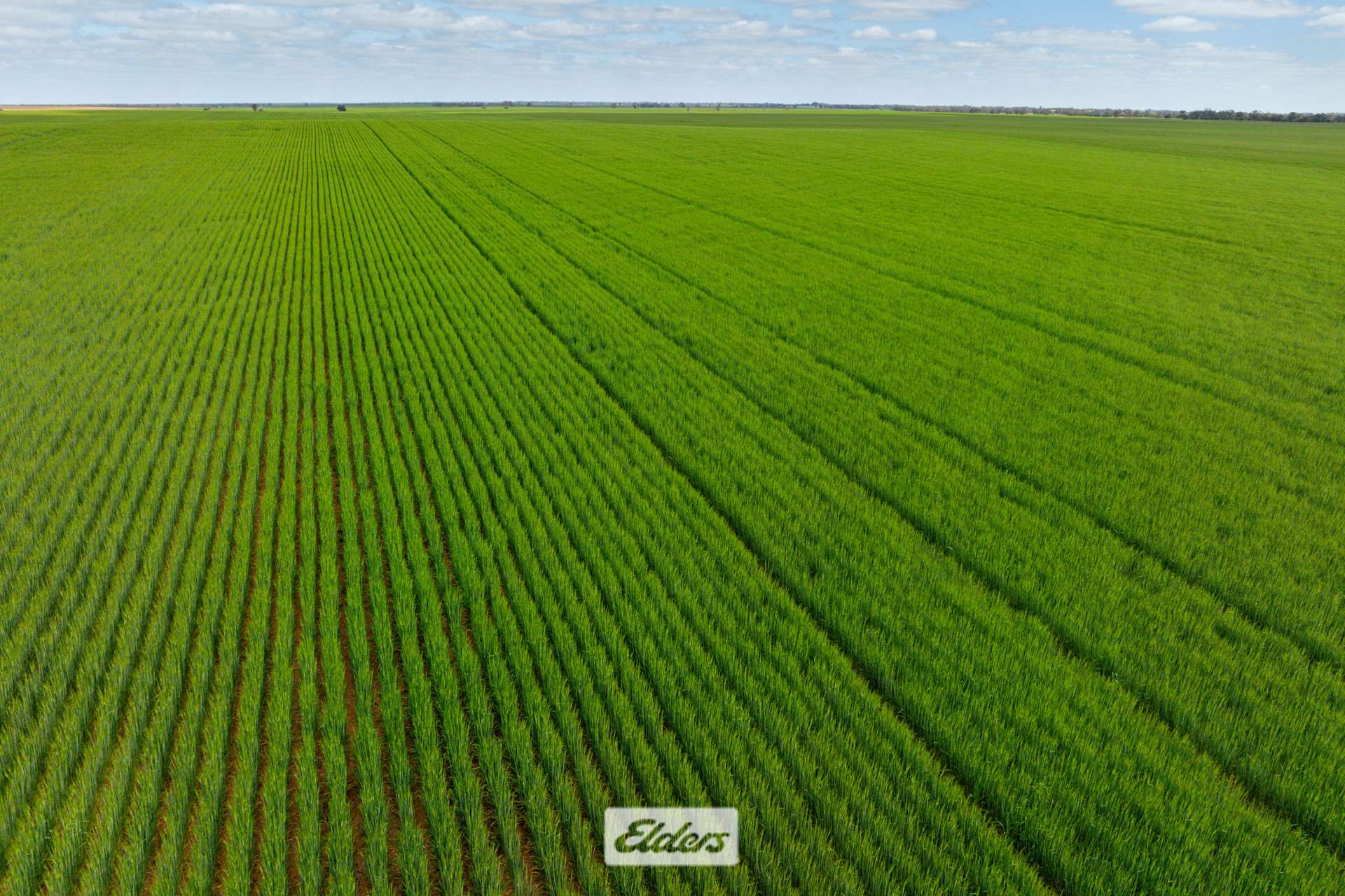 1319 Yanga Way, Kyalite For Sale by Farmbuy.com - image 2