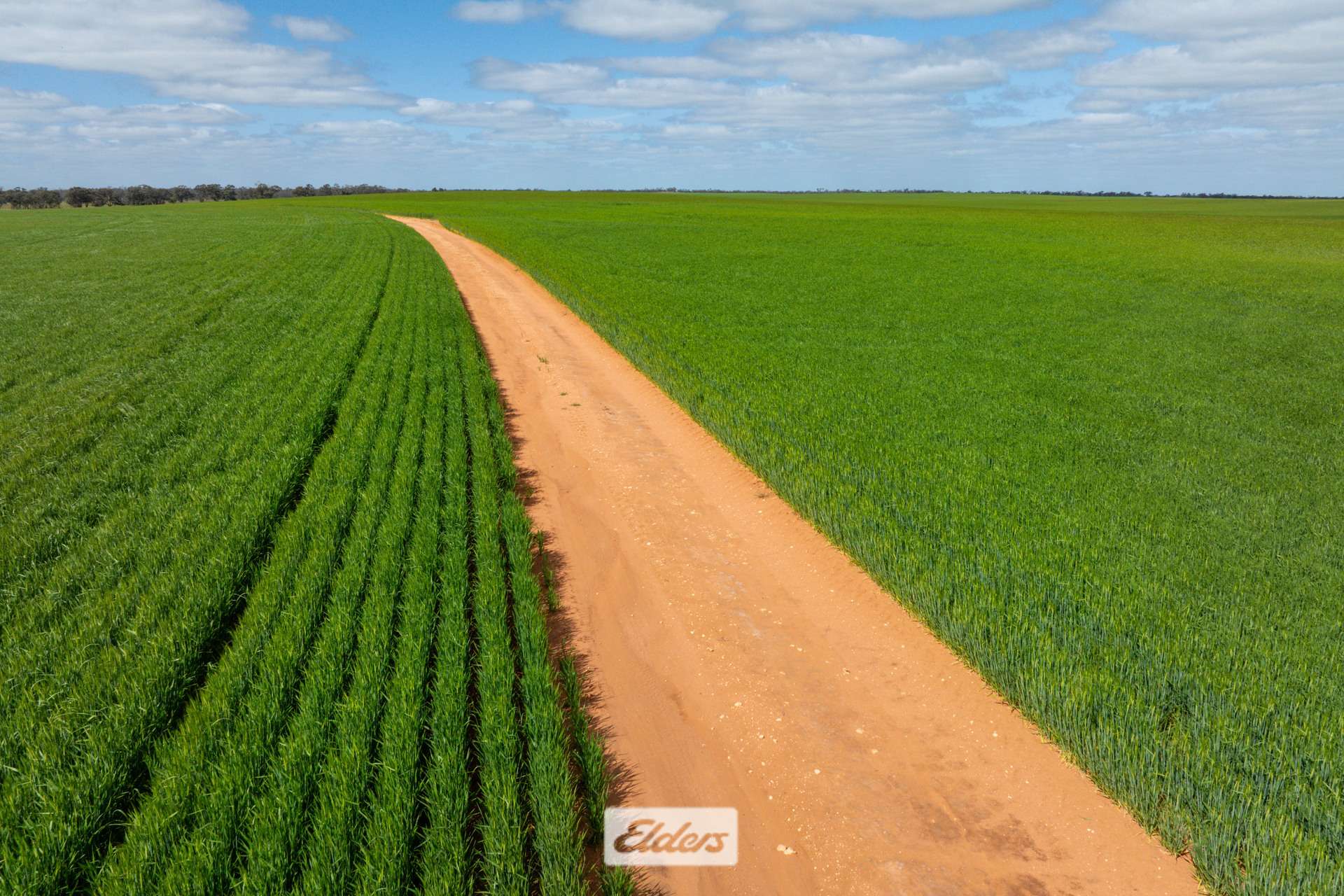 1319 Yanga Way, Kyalite For Sale by Farmbuy.com - image 16