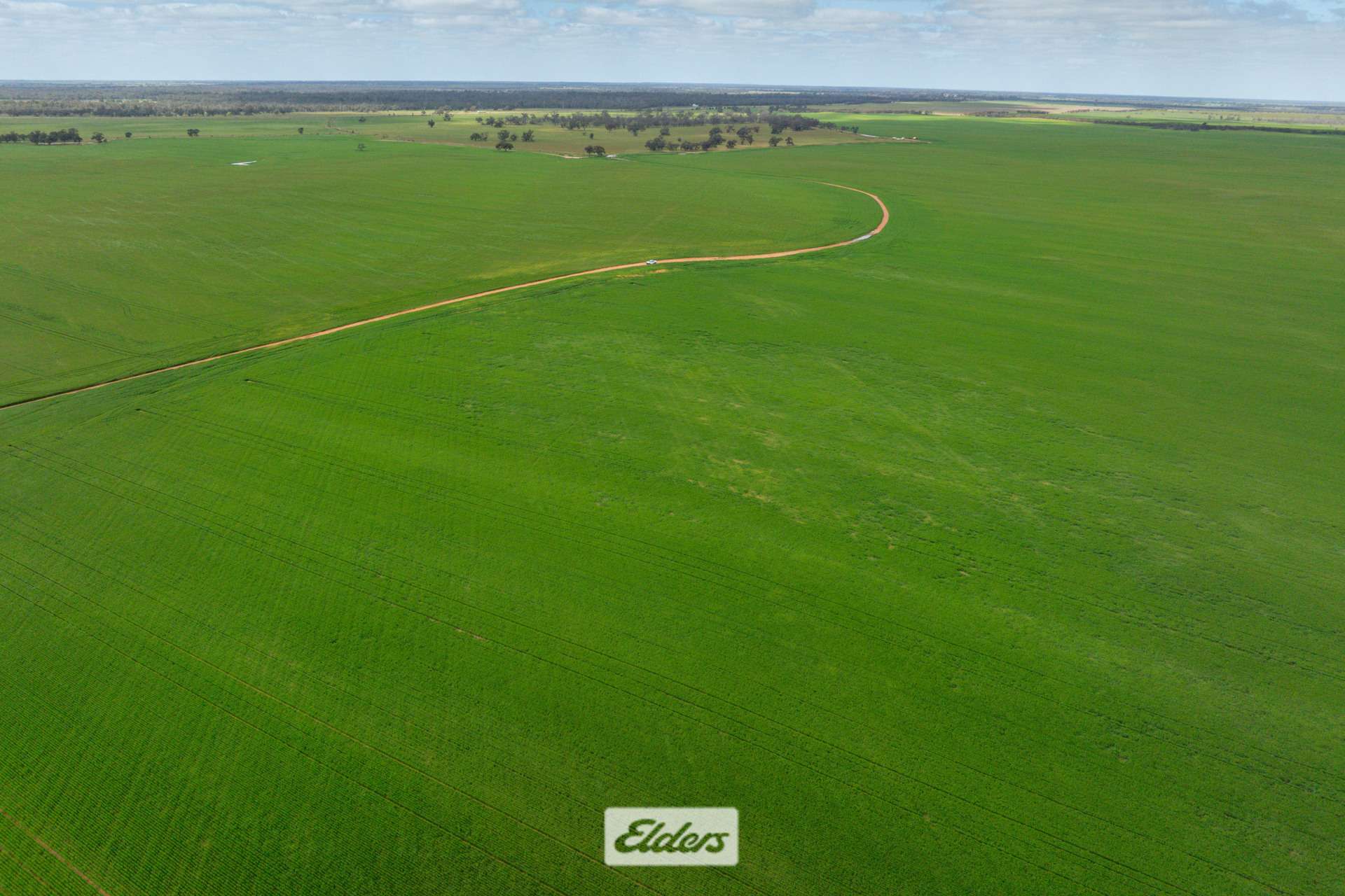 1319 Yanga Way, Kyalite For Sale by Farmbuy.com - image 26