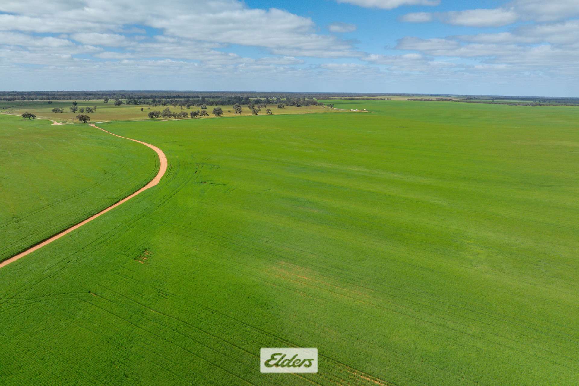 1319 Yanga Way, Kyalite For Sale by Farmbuy.com - image 1