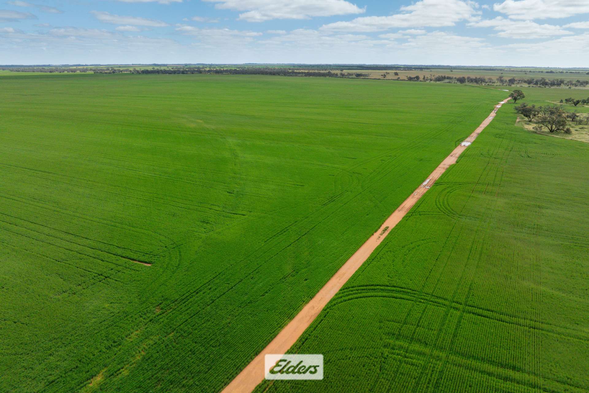 1319 Yanga Way, Kyalite For Sale by Farmbuy.com - image 24