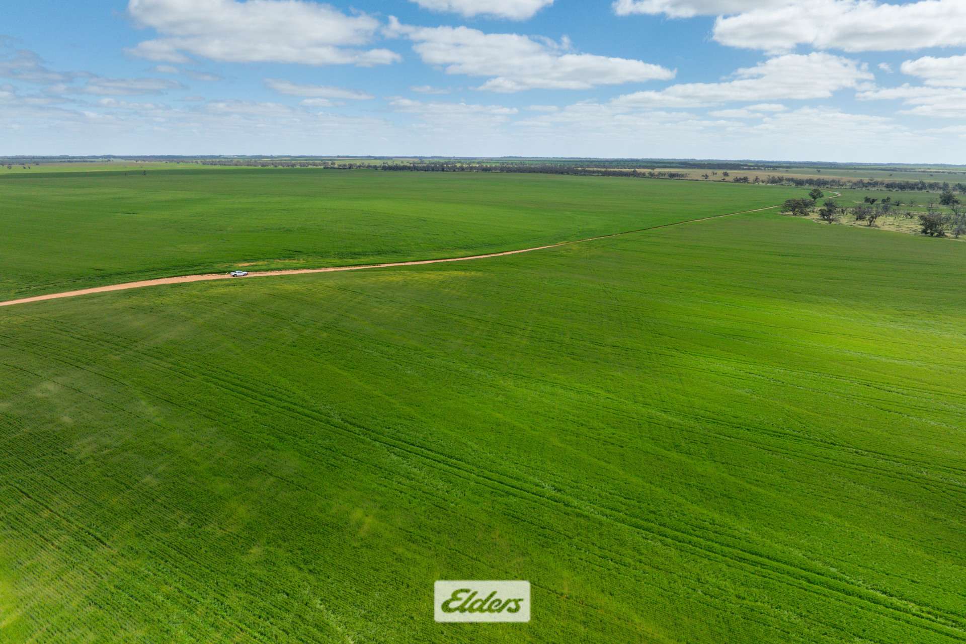 1319 Yanga Way, Kyalite For Sale by Farmbuy.com - image 18