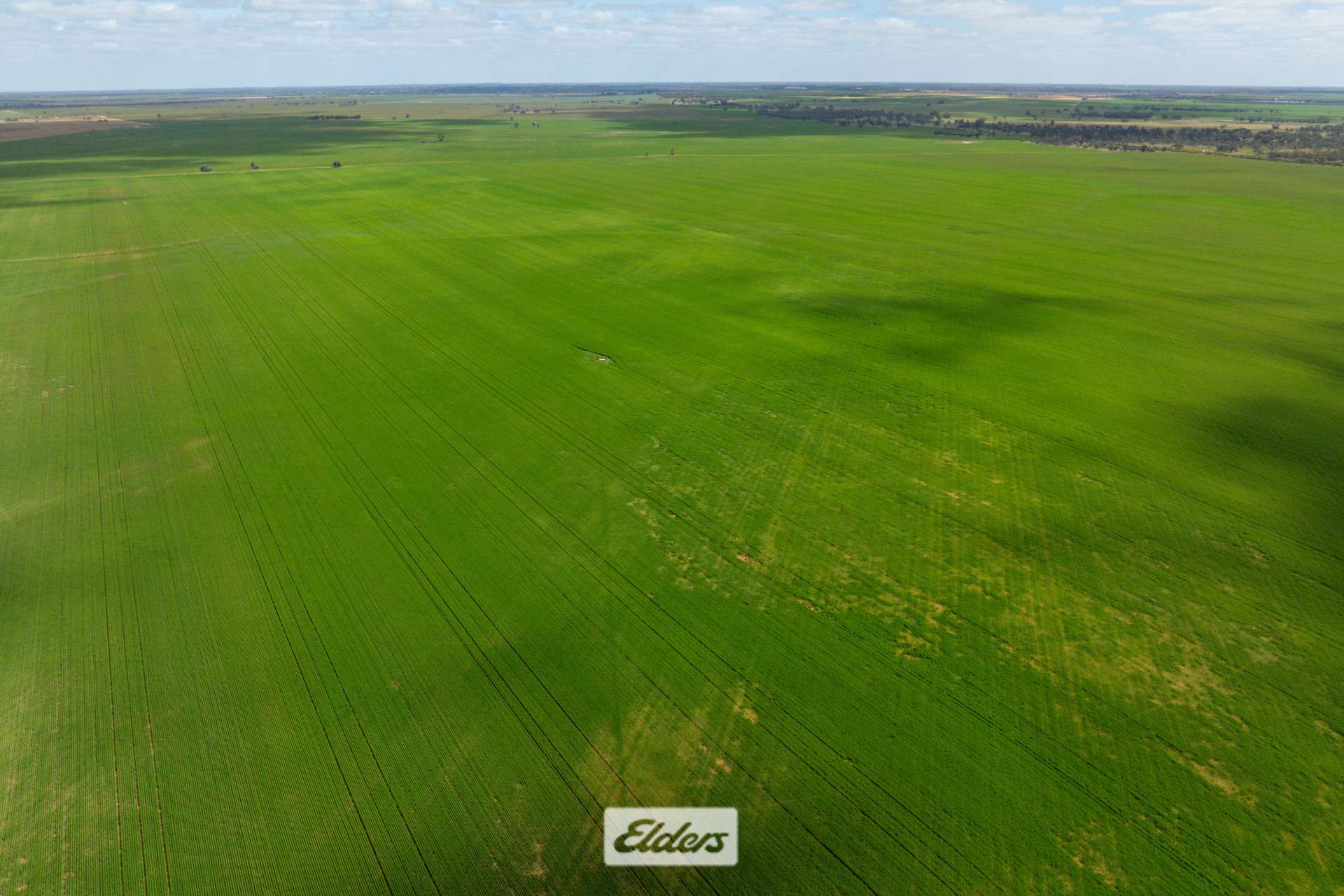 1319 Yanga Way, Kyalite For Sale by Farmbuy.com - image 9