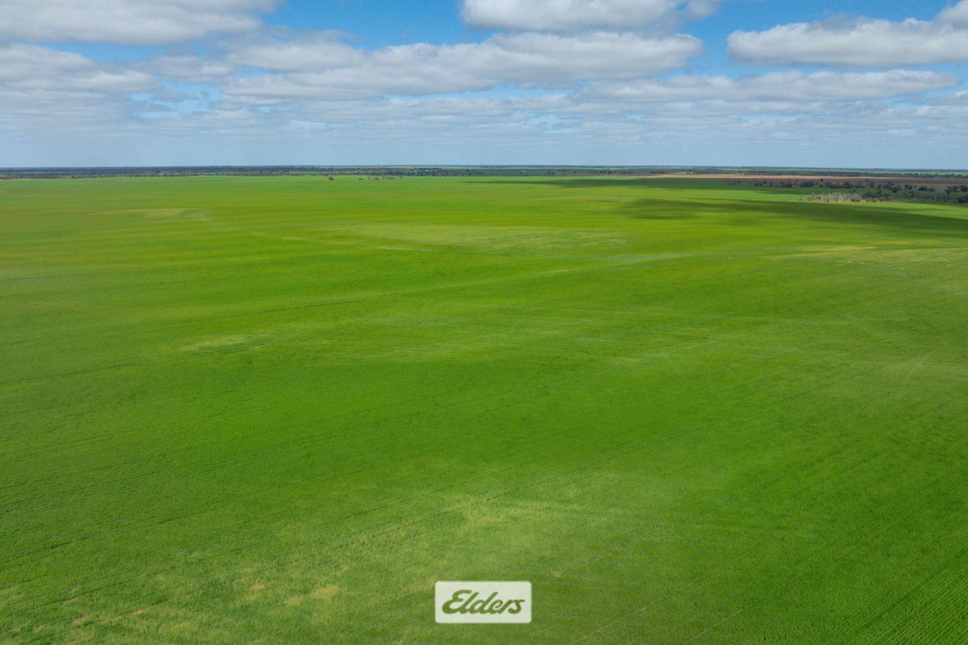 1319 Yanga Way, Kyalite For Sale by Farmbuy.com - image 14