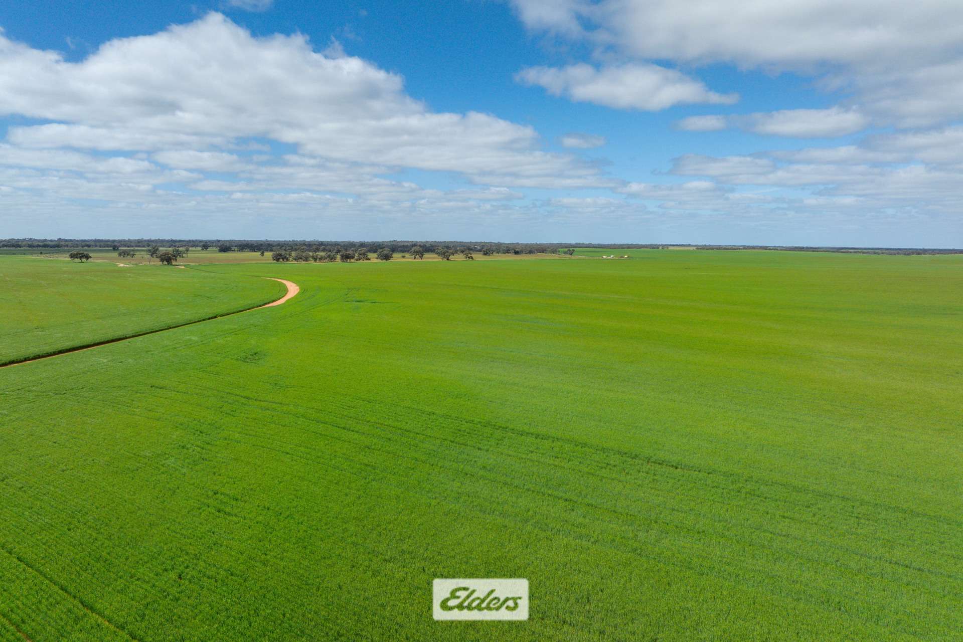 1319 Yanga Way, Kyalite For Sale by Farmbuy.com - image 21