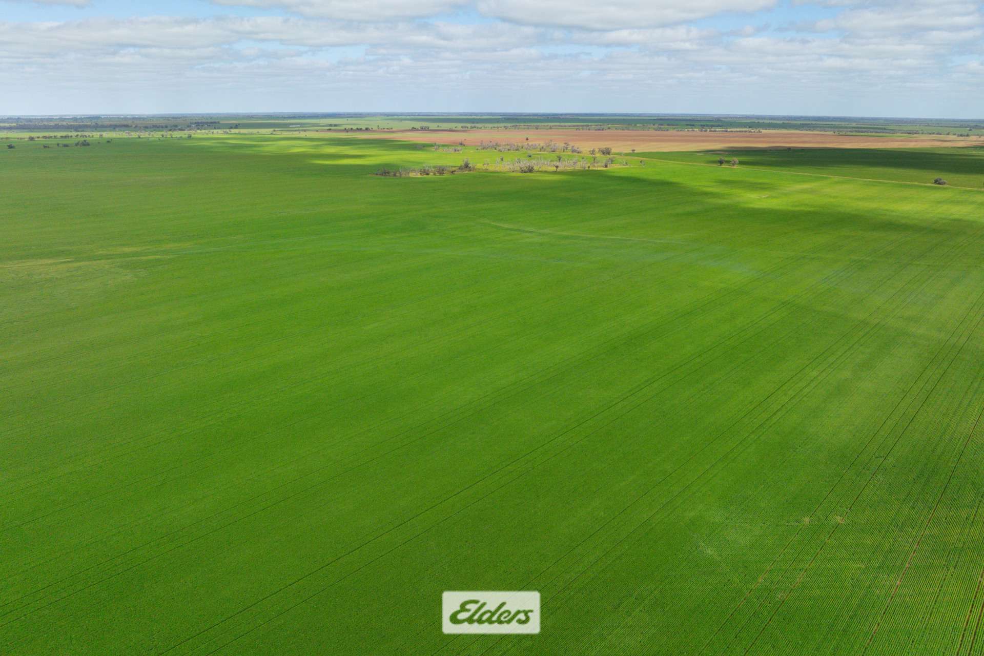 1319 Yanga Way, Kyalite For Sale by Farmbuy.com - image 27
