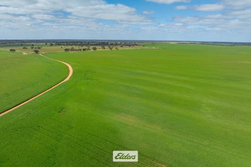1319 Yanga Way, Kyalite NSW 2715