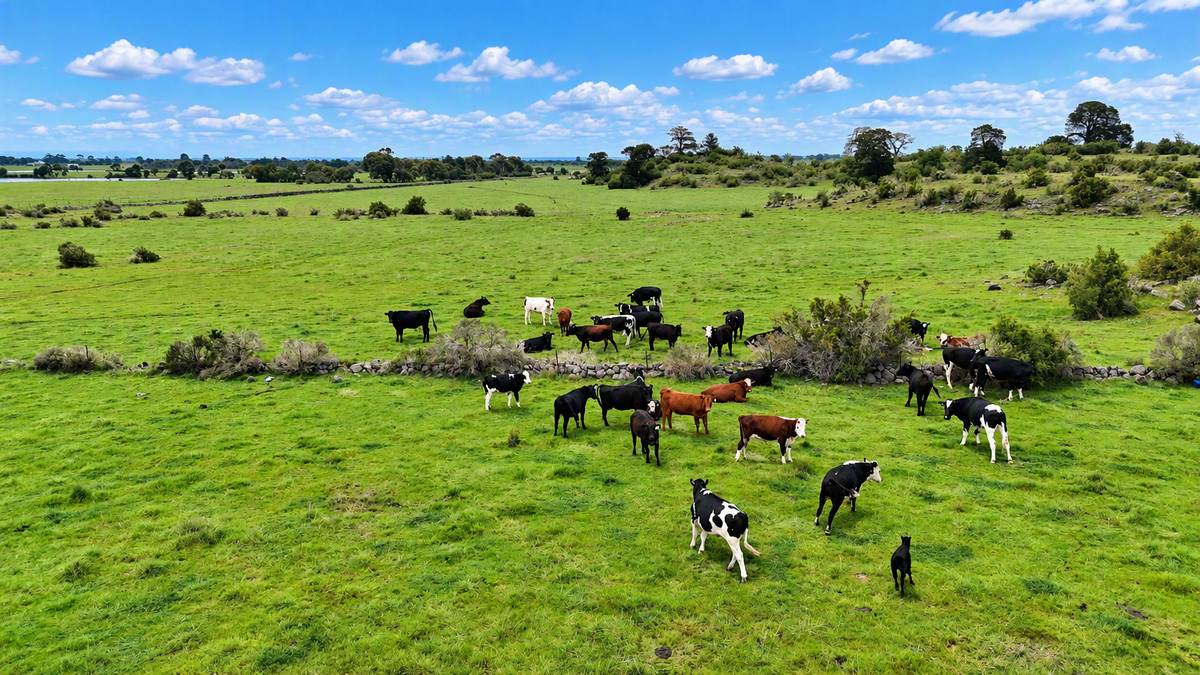 320 South Cundare Road, Cundare For Sale by Farmbuy.com - image 6