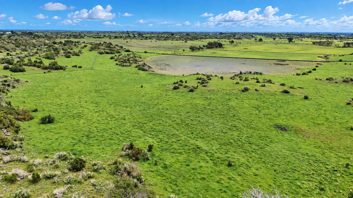 320 South Cundare Road, Cundare For Sale by Farmbuy.com - image 7