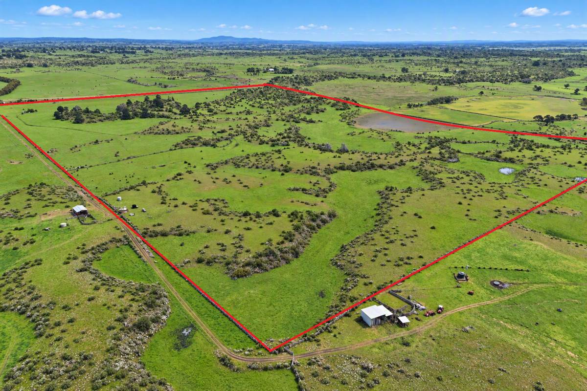320 South Cundare Road, Cundare For Sale by Farmbuy.com - image 3