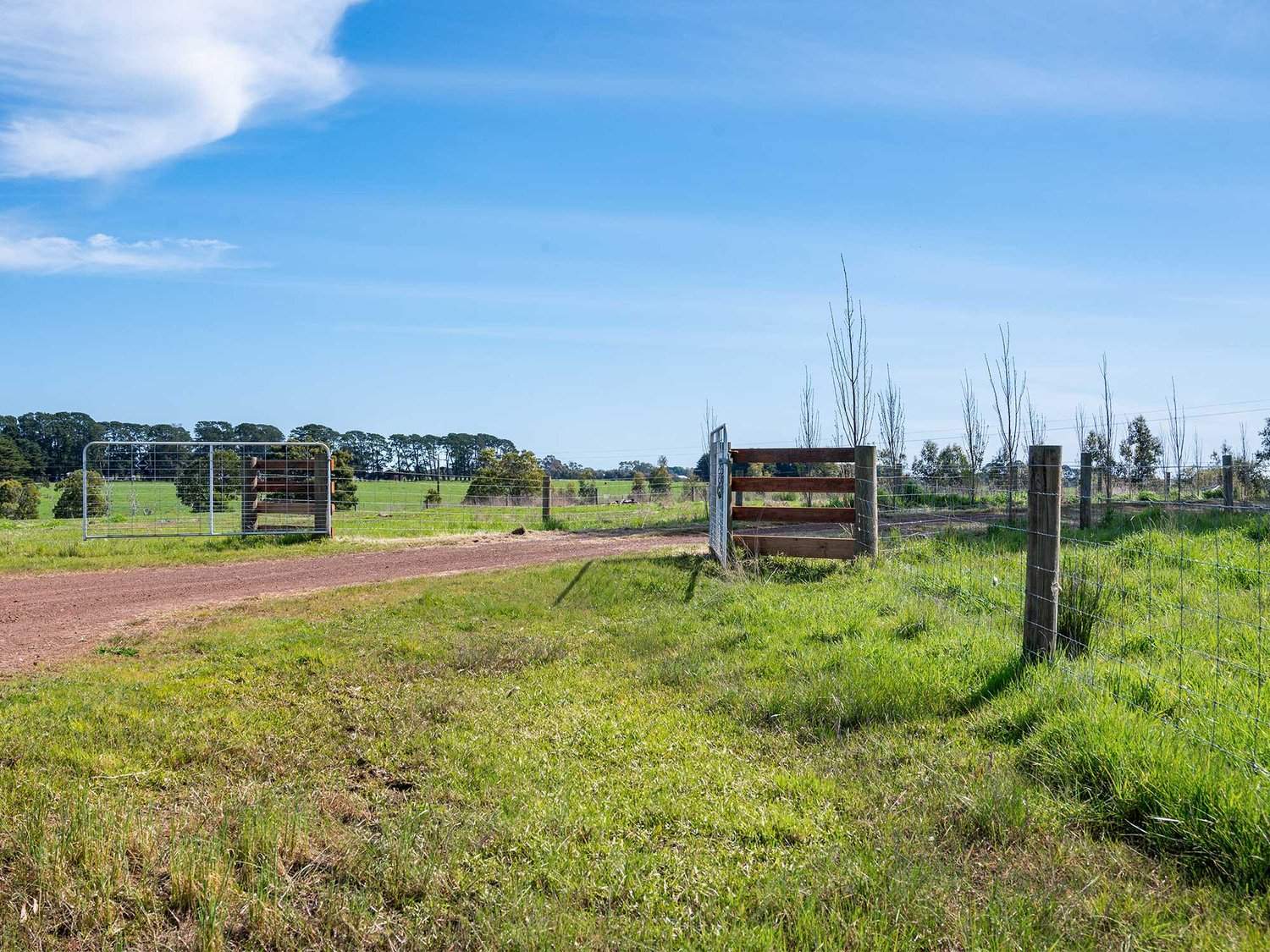 - Hamilton Port Fairy Road, Byaduk For Sale by Farmbuy.com - image 4