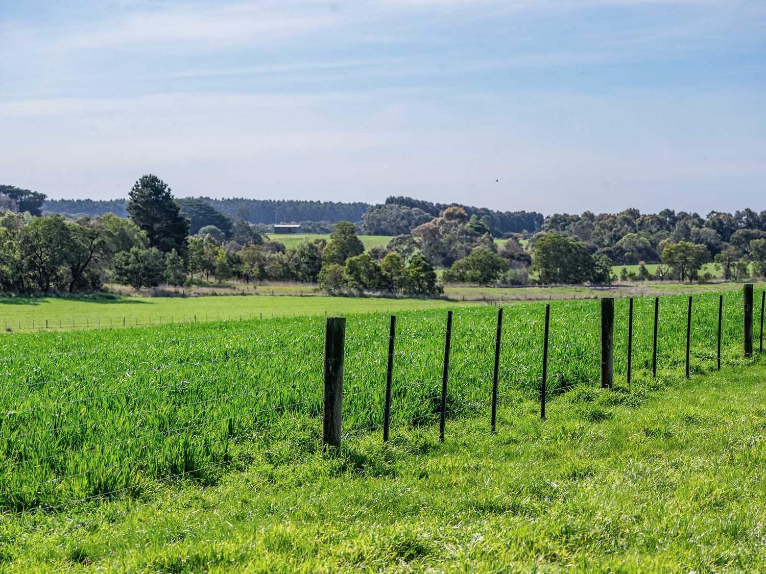 - Hamilton Port Fairy Road, Byaduk For Sale by Farmbuy.com - image 22