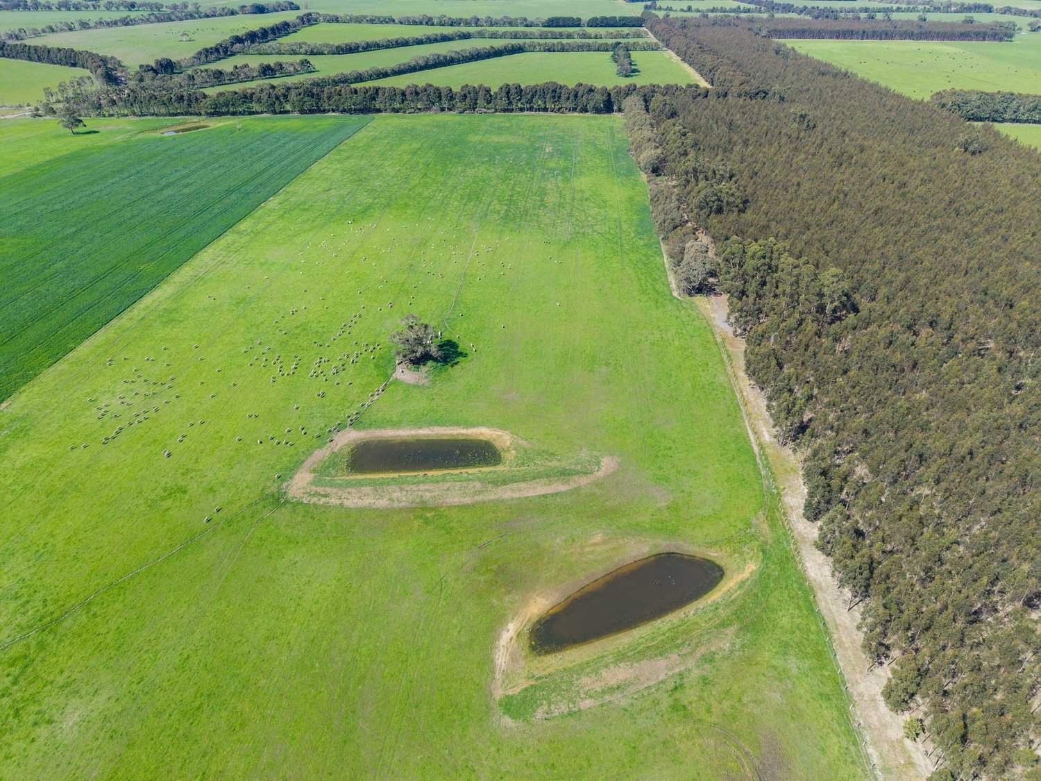 - Hamilton Port Fairy Road, Byaduk For Sale by Farmbuy.com - image 24