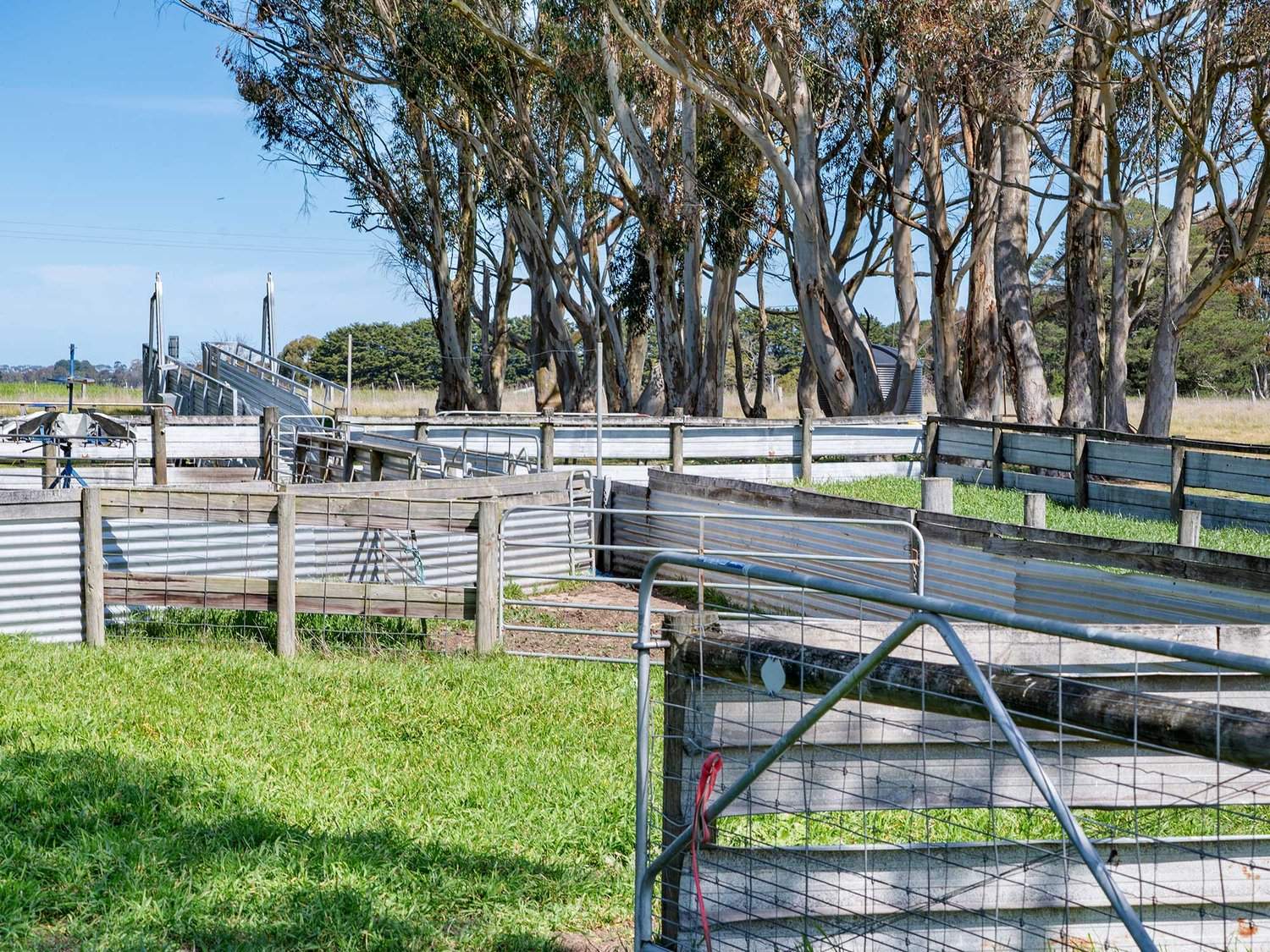 - Glenelg Highway, Warrayure For Sale by Farmbuy.com - image 13