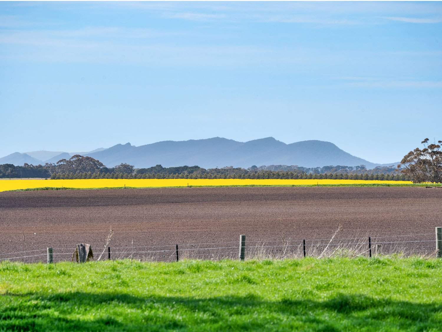 - Glenelg Highway, Warrayure For Sale by Farmbuy.com - image 5