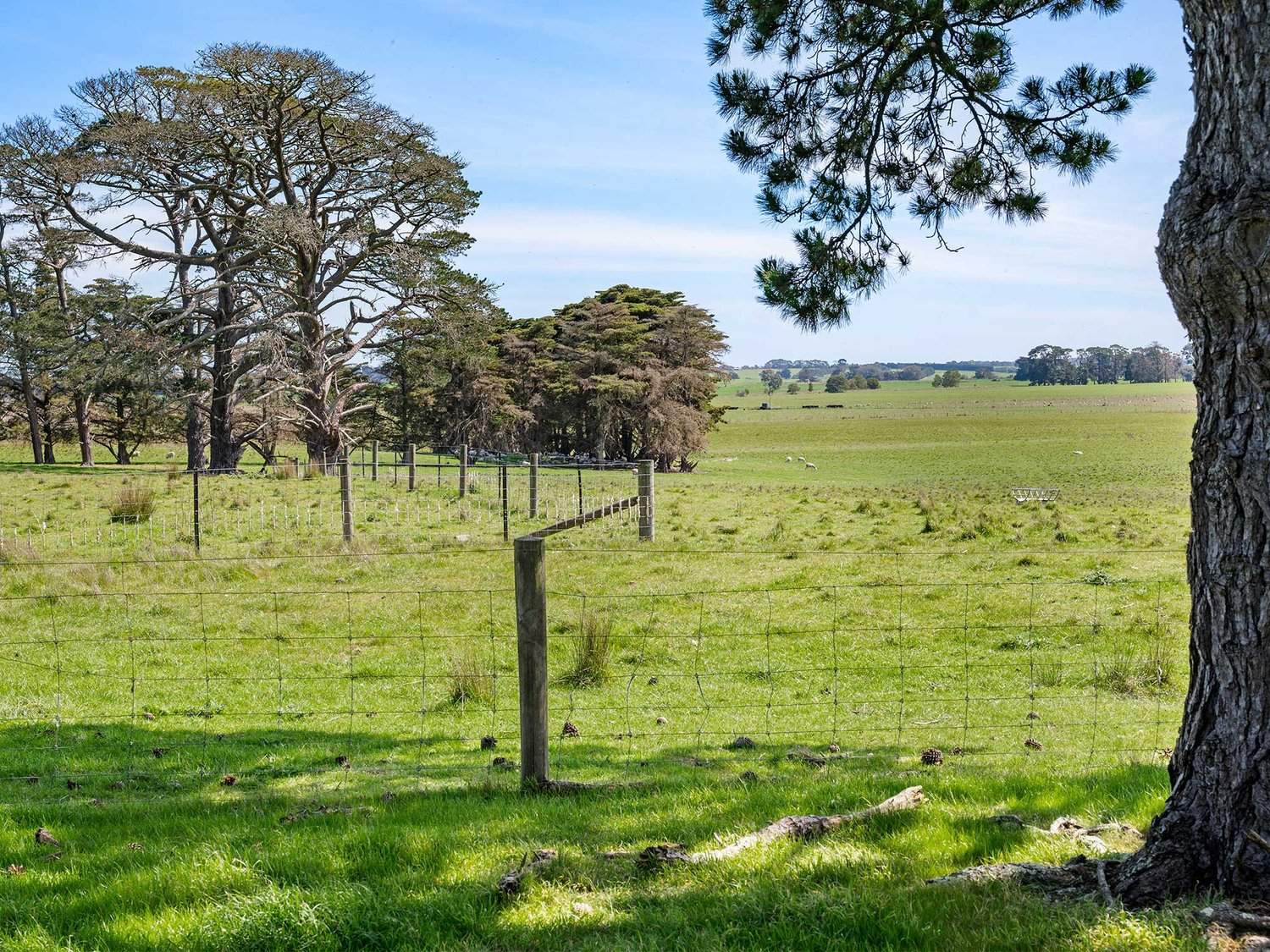 - Glenelg Highway, Warrayure For Sale by Farmbuy.com - image 14