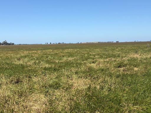 Farm Sold - VIC - Patho - 3564 - 240 Acres of Dryland Grazing Country with Patho Creek Frontage 