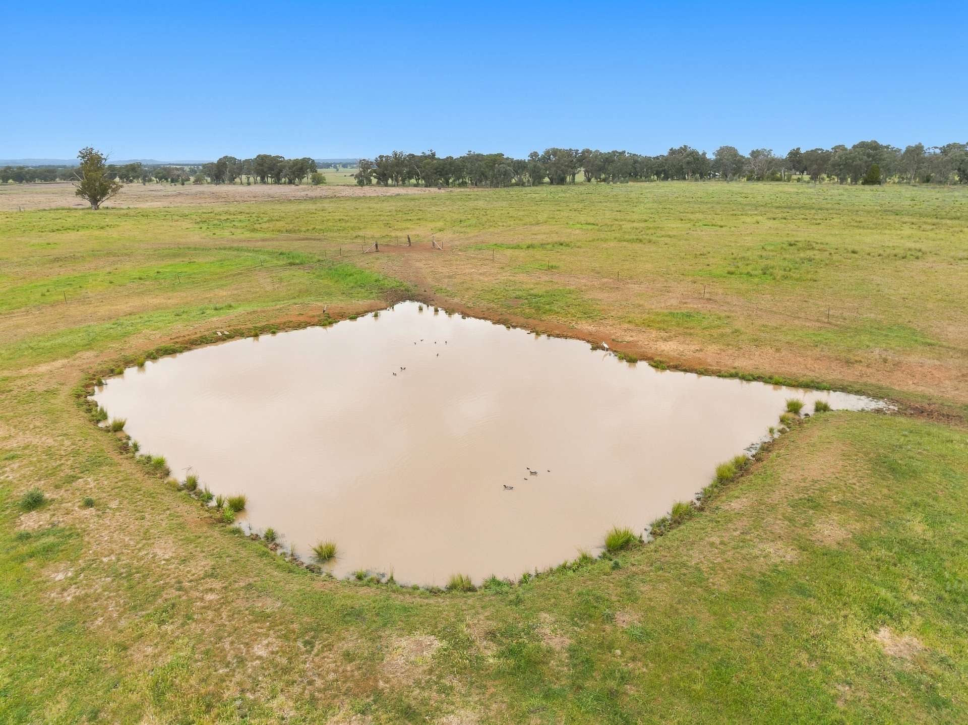 133 Sheep Station Road, Cowra For Sale by Farmbuy.com - image 19