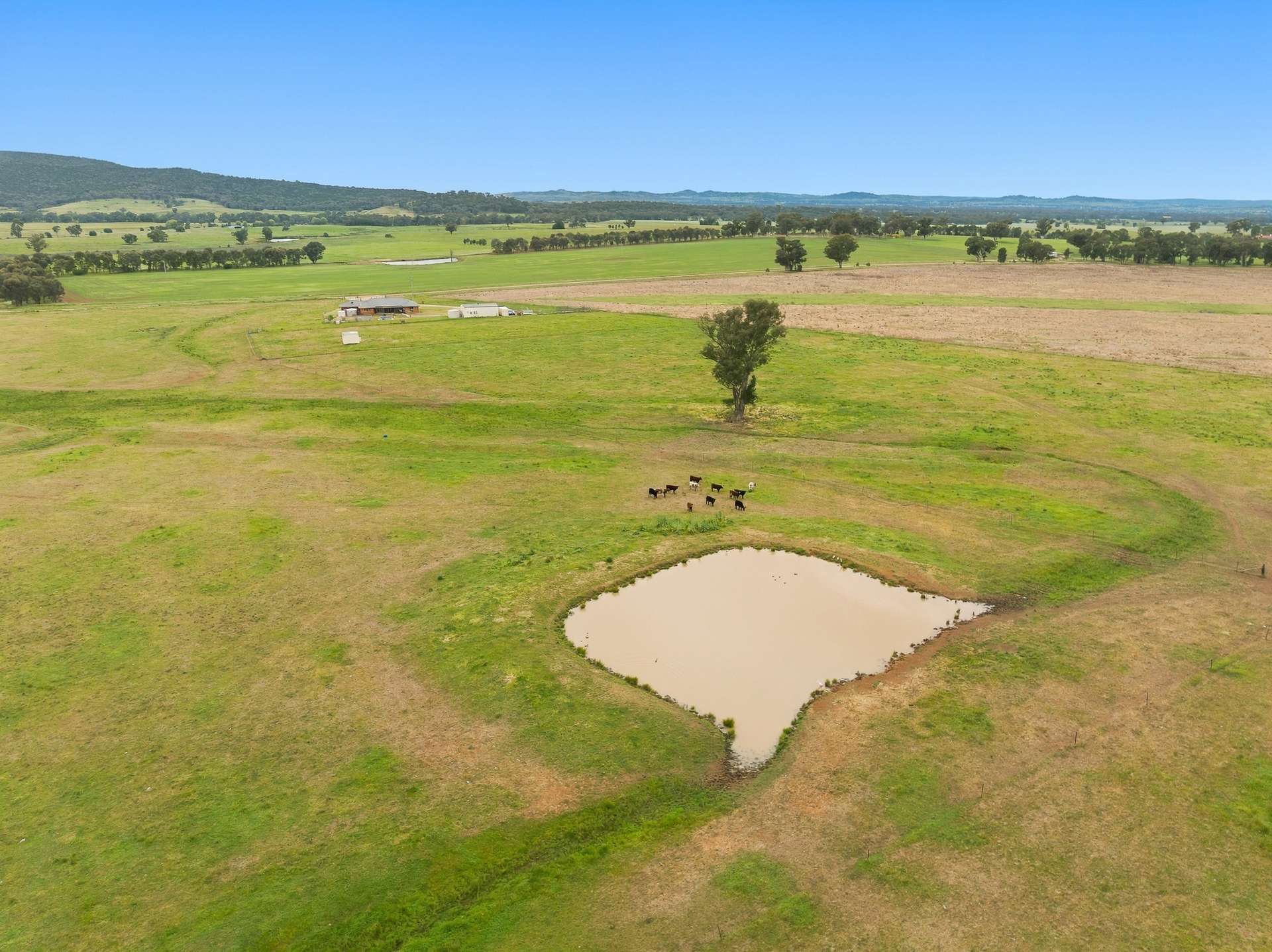 133 Sheep Station Road, Cowra For Sale by Farmbuy.com - image 3