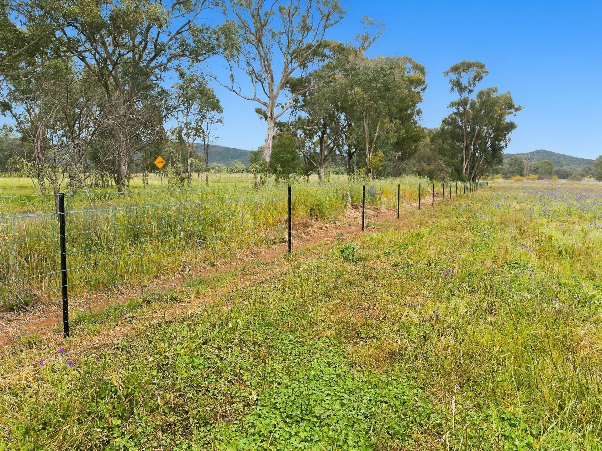 133 Sheep Station Road, Cowra For Sale by Farmbuy.com - image 20