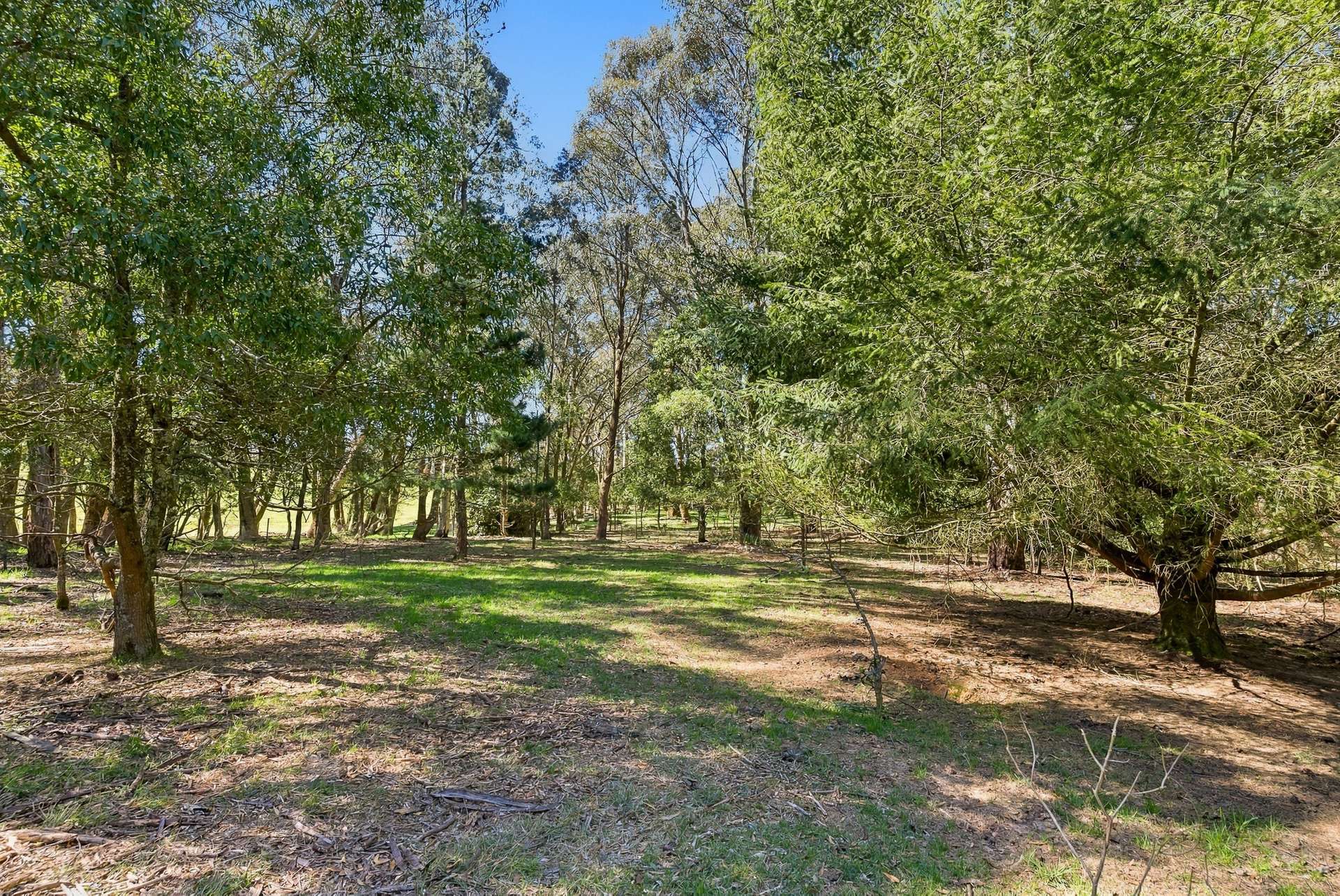 1945 Shooters Hill Road, Oberon Auction by Farmbuy.com - image 6