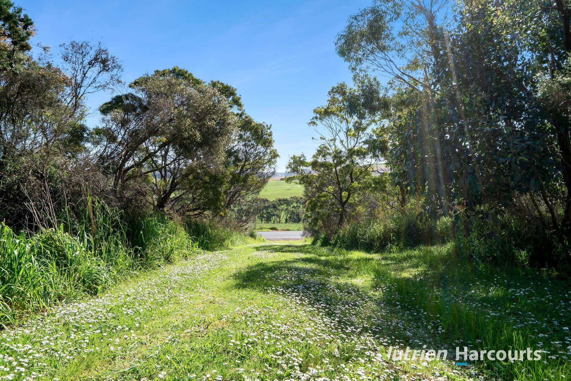 2529 Cobden - Port Campbell Road, Port Campbell For Sale by Farmbuy.com - image 17