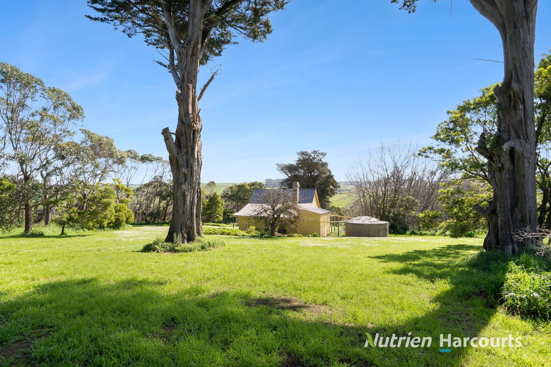 2529 Cobden - Port Campbell Road, Port Campbell For Sale by Farmbuy.com - image 5