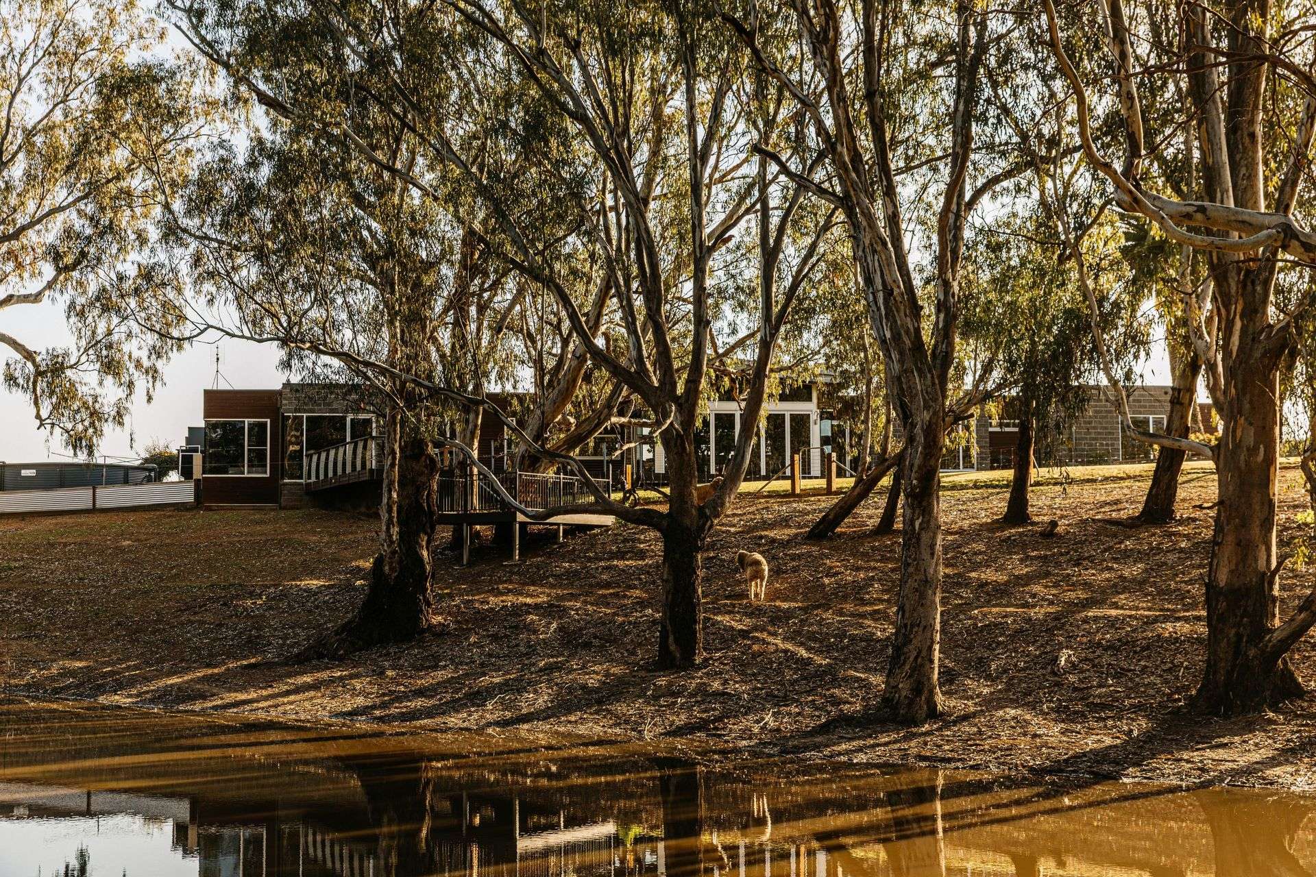 'Murray Gums'  1269 Perricoota Road, Moama For Sale by Farmbuy.com - image 29