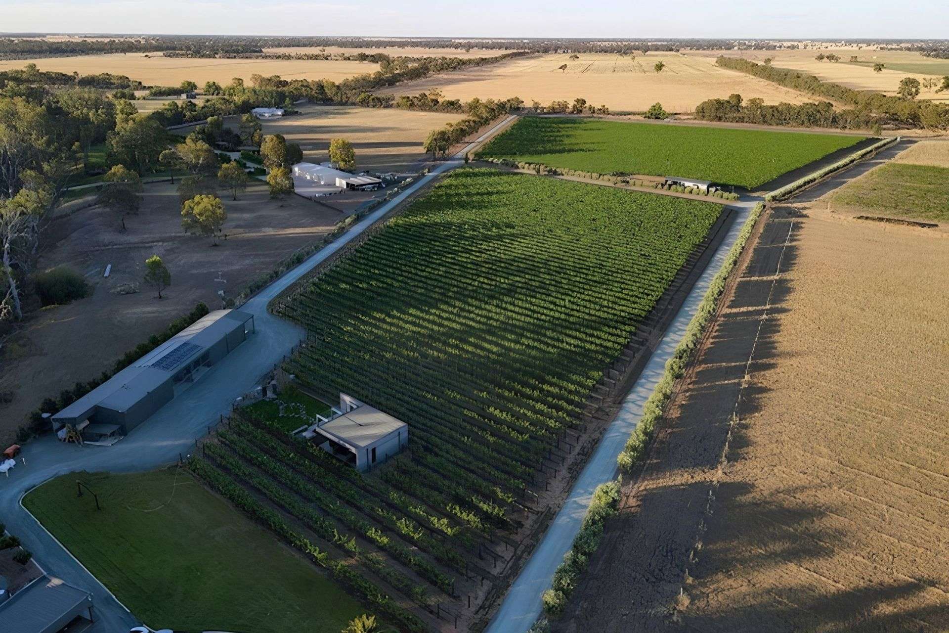 'Murray Gums'  1269 Perricoota Road, Moama For Sale by Farmbuy.com - image 31