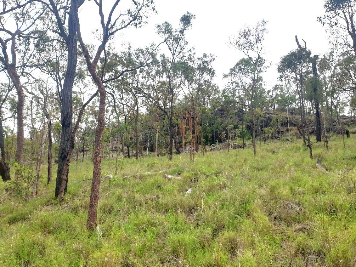 17940 Kennedy Hwy, Mount Garnet For Sale by Farmbuy.com - image 23