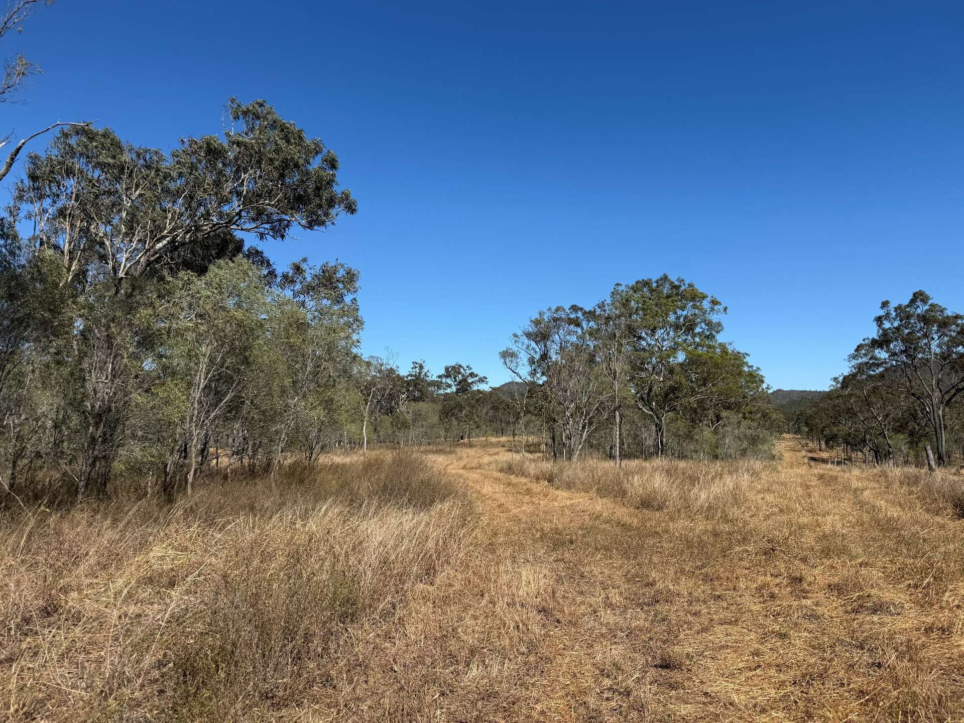 17940 Kennedy Hwy, Mount Garnet For Sale by Farmbuy.com - image 15