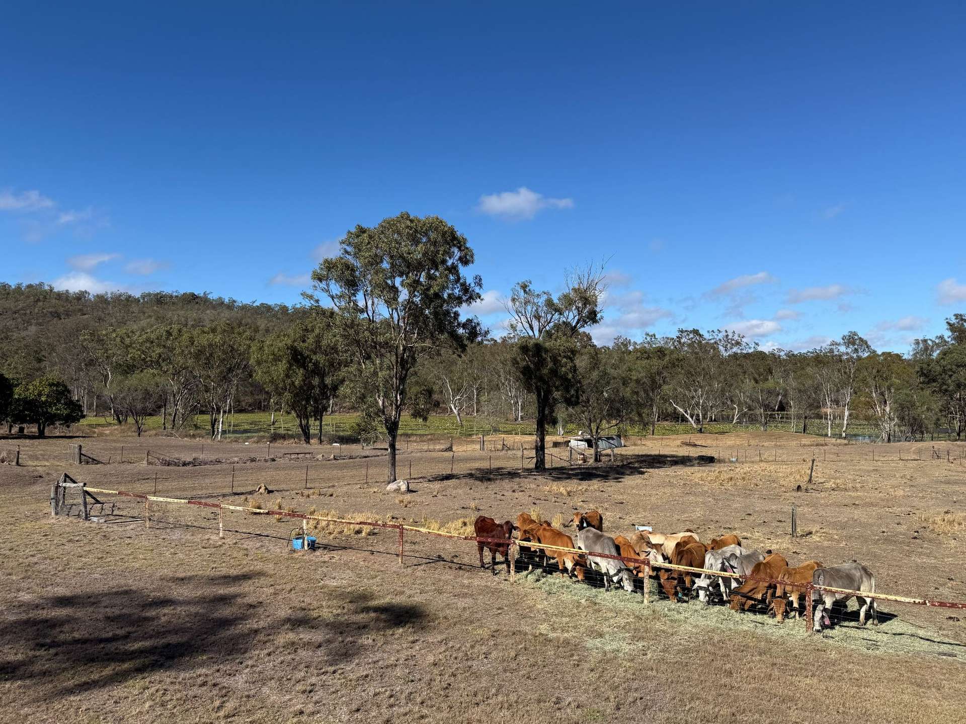 17940 Kennedy Hwy, Mount Garnet For Sale by Farmbuy.com - image 12