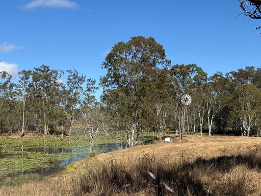 Farm For Sale - QLD - Mount Garnet - 4872 - Expansive Breeder & Lifestyle Block | Tablelands Region 
